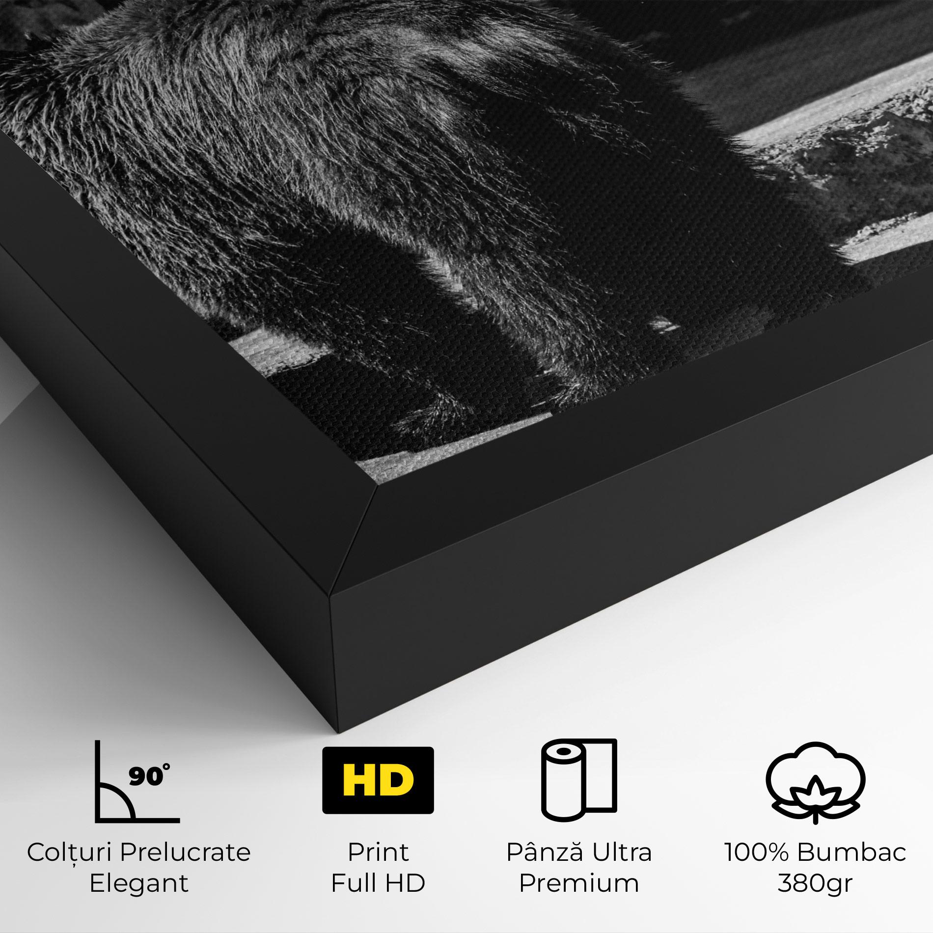 Tablou Canvas Grey Bear mockup 4