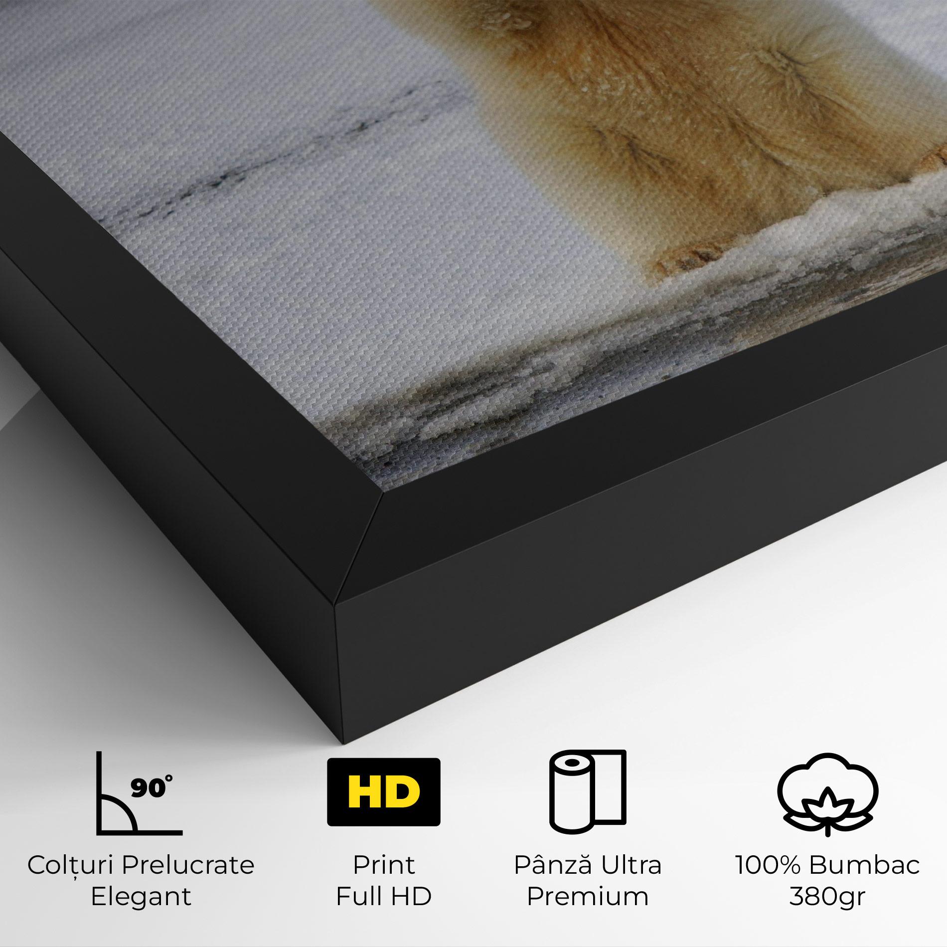 Tablou Canvas Icebear Praying mockup 4