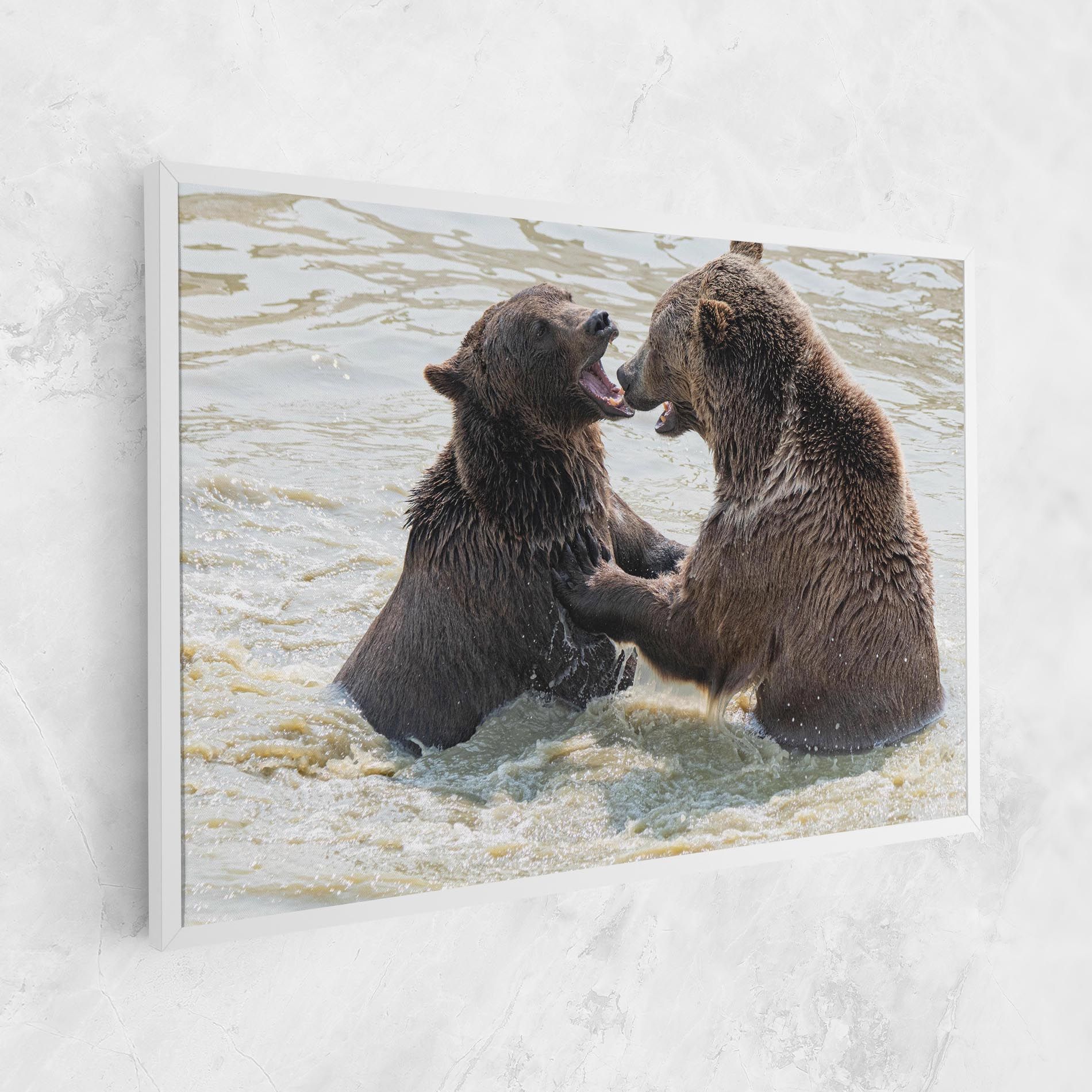Bears Fighting mockup 1