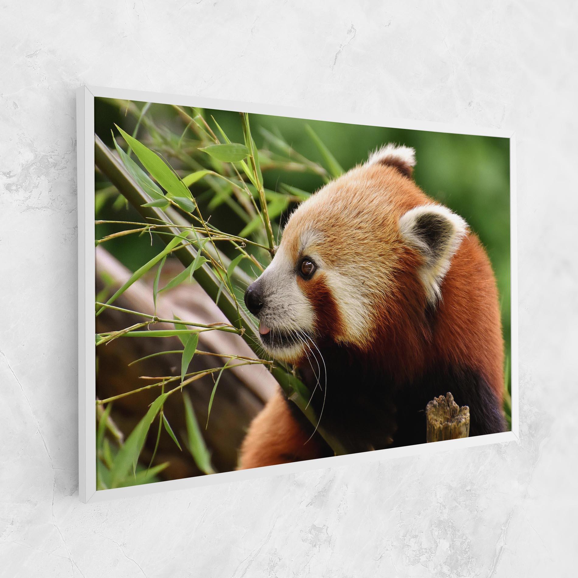 Tablou Canvas Cute Red Panda mockup 1