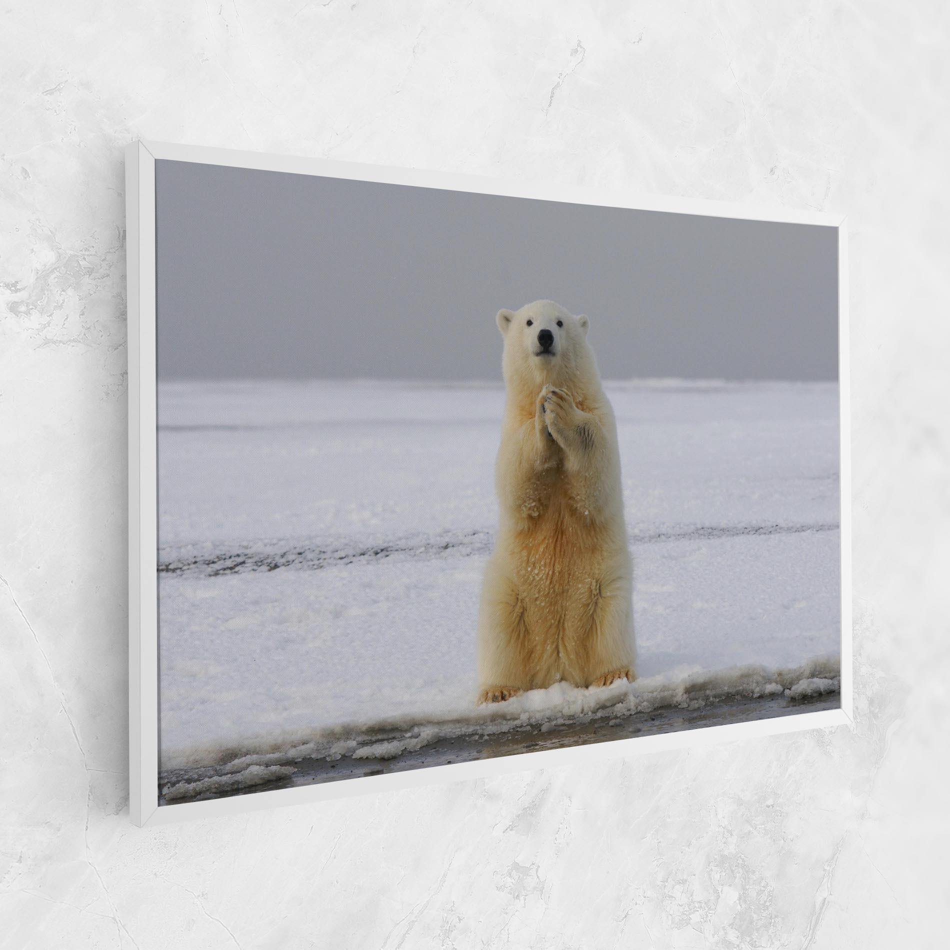 Tablou Canvas Icebear Praying mockup 1