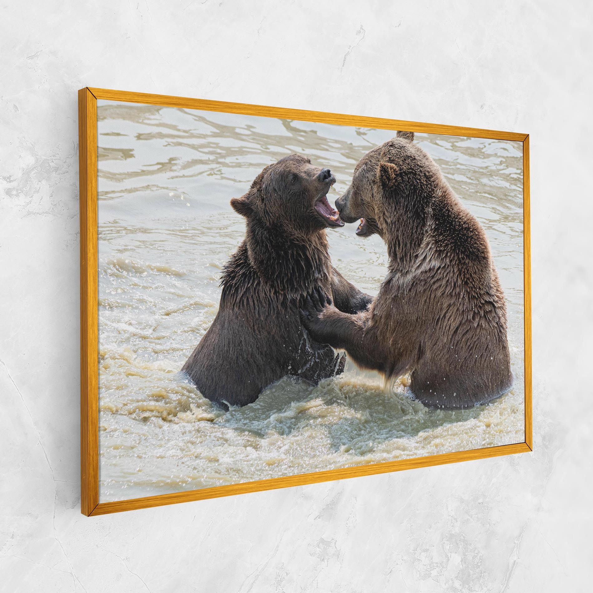 Bears Fighting mockup 1