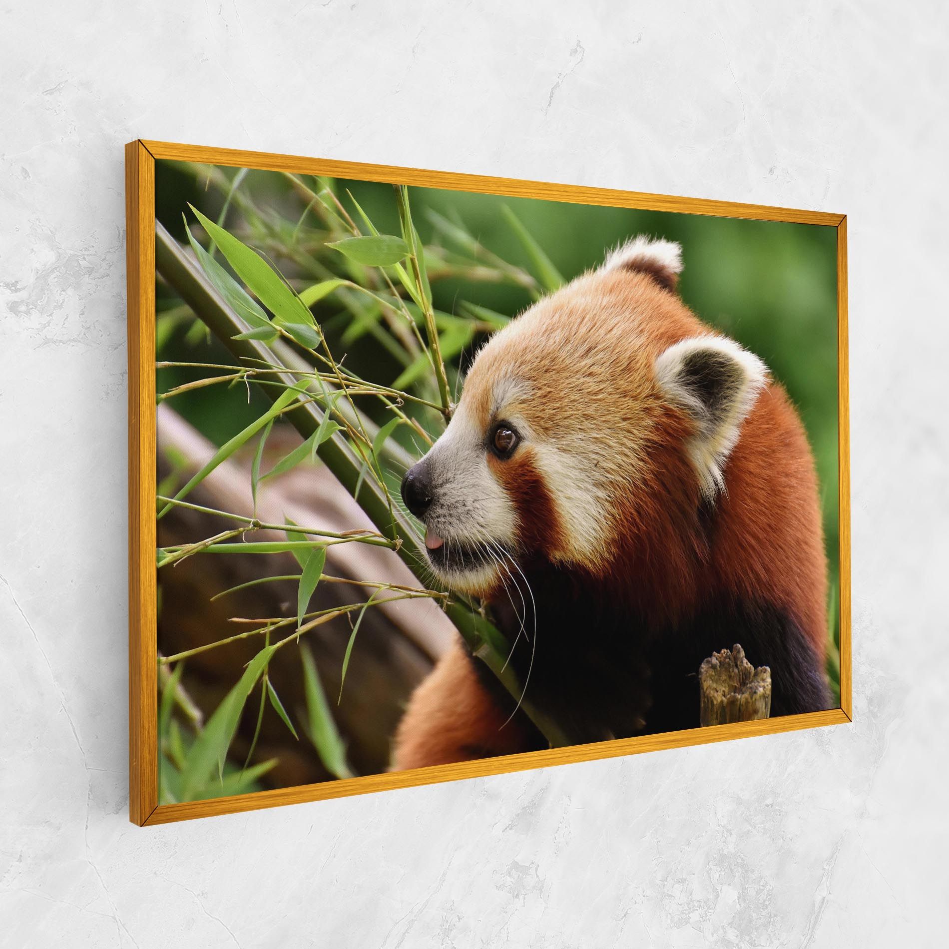 Cute Red Panda mockup 1