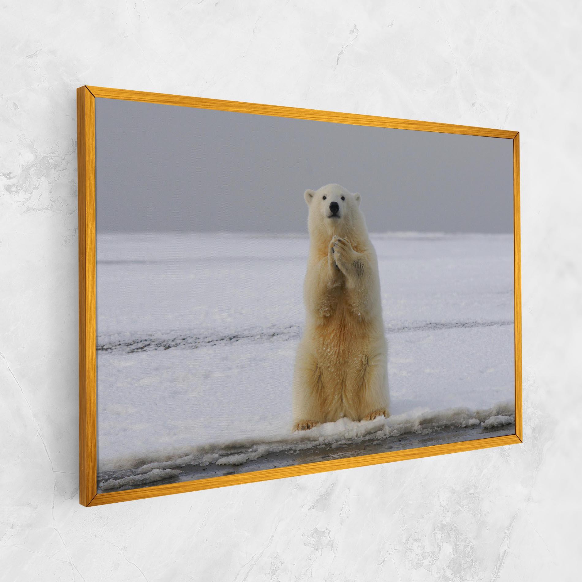 Tablou Canvas Icebear Praying mockup 1