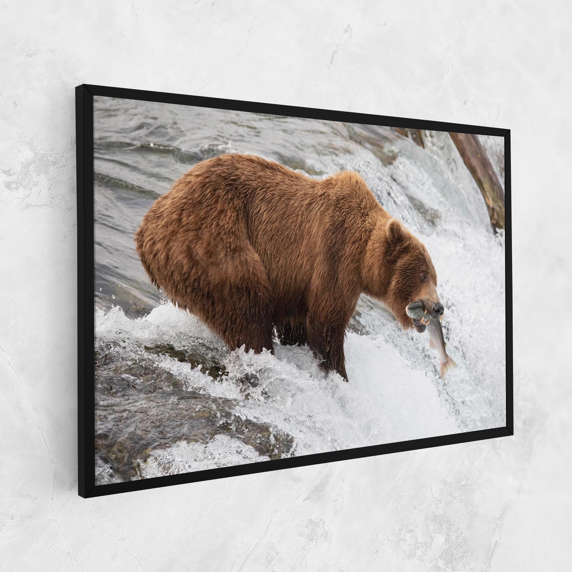 Bear Hunting mockup 1