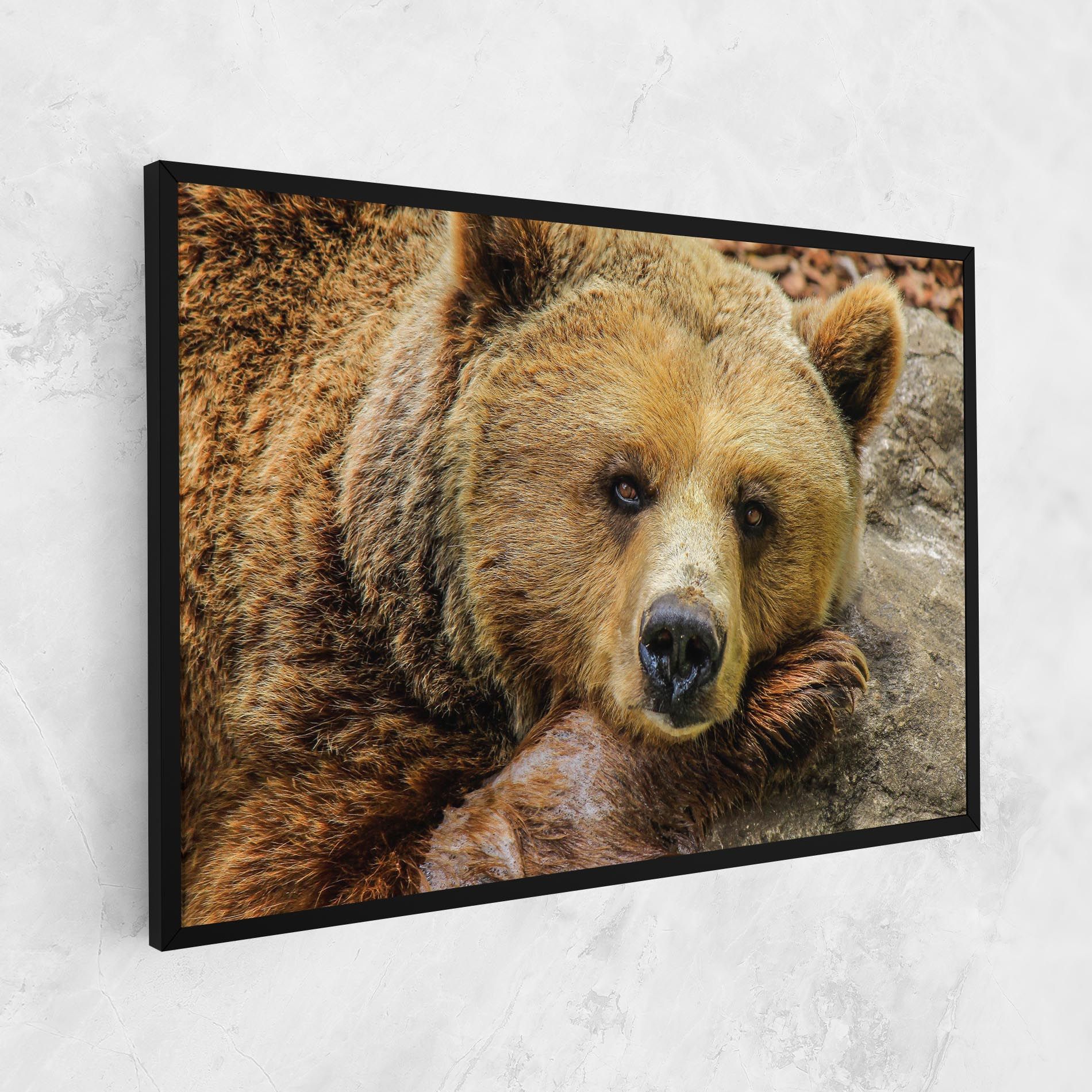 Bear mockup 1