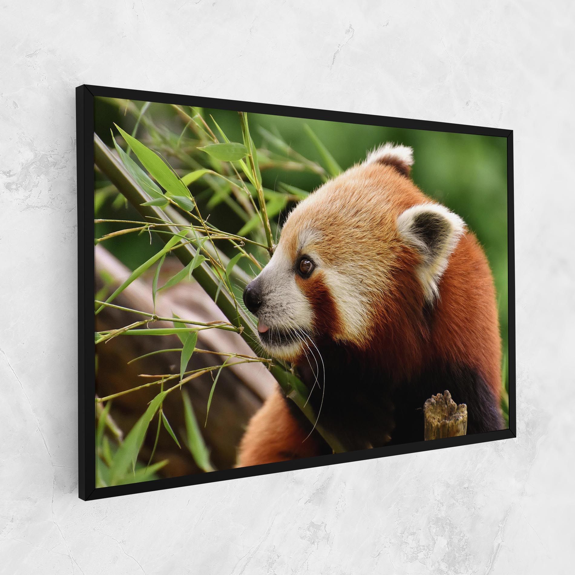 Cute Red Panda mockup 1