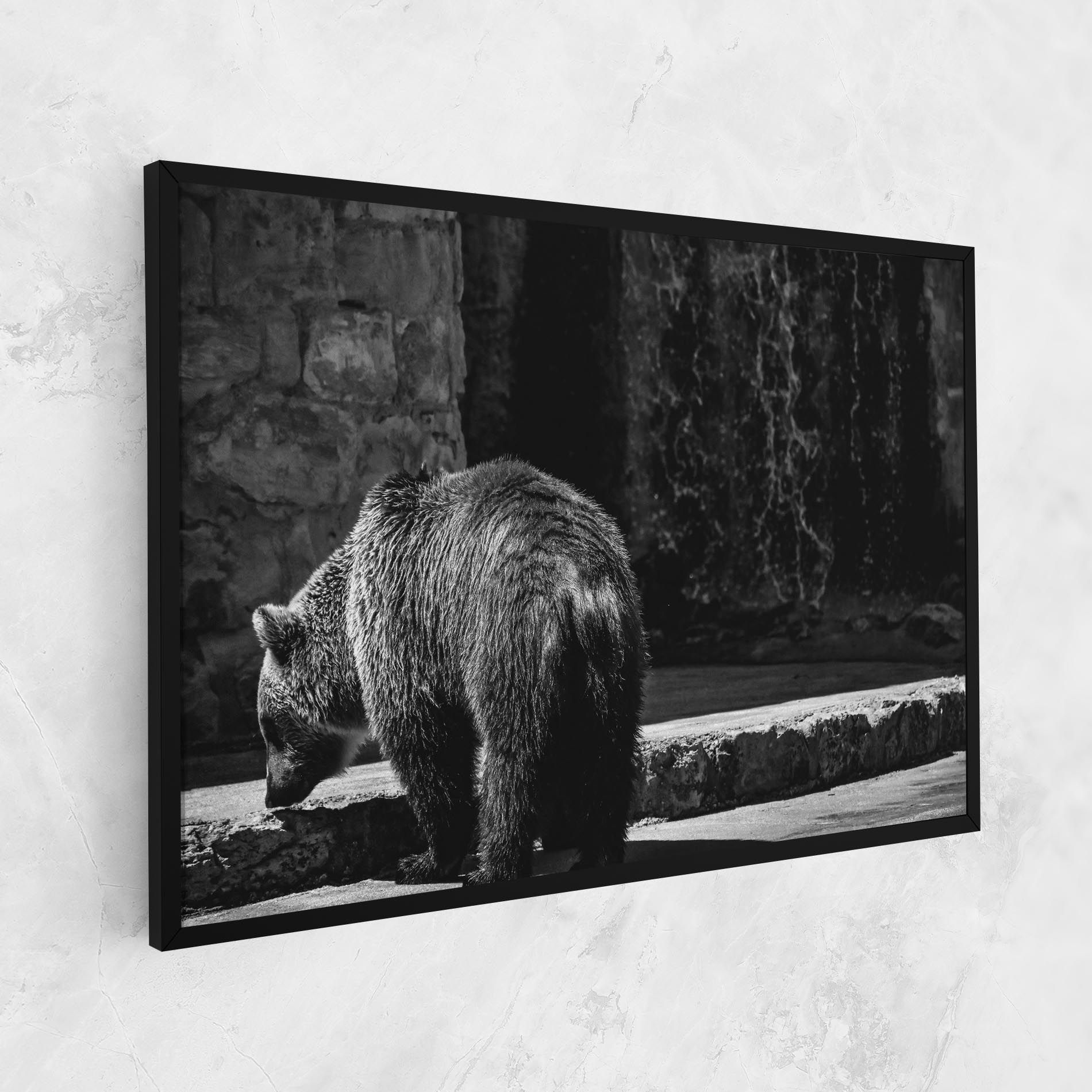 Grey Bear mockup 1