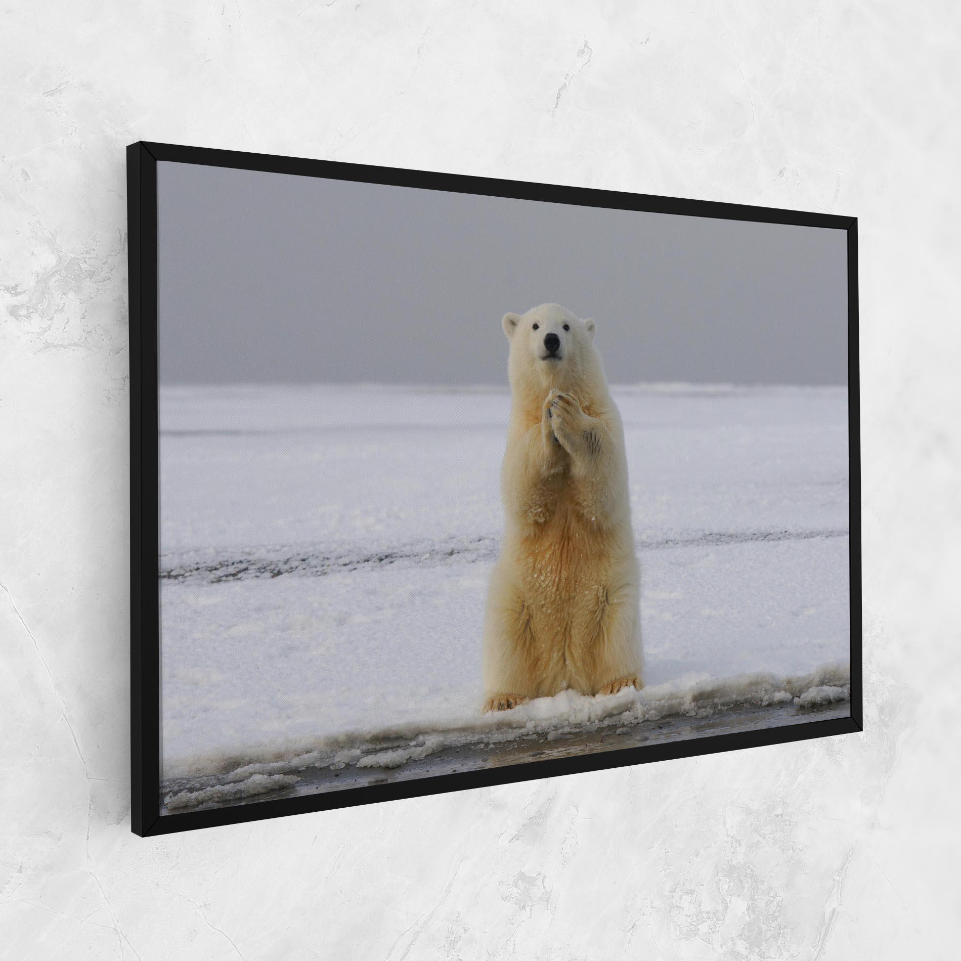 Tablou Canvas Icebear Praying mockup 1