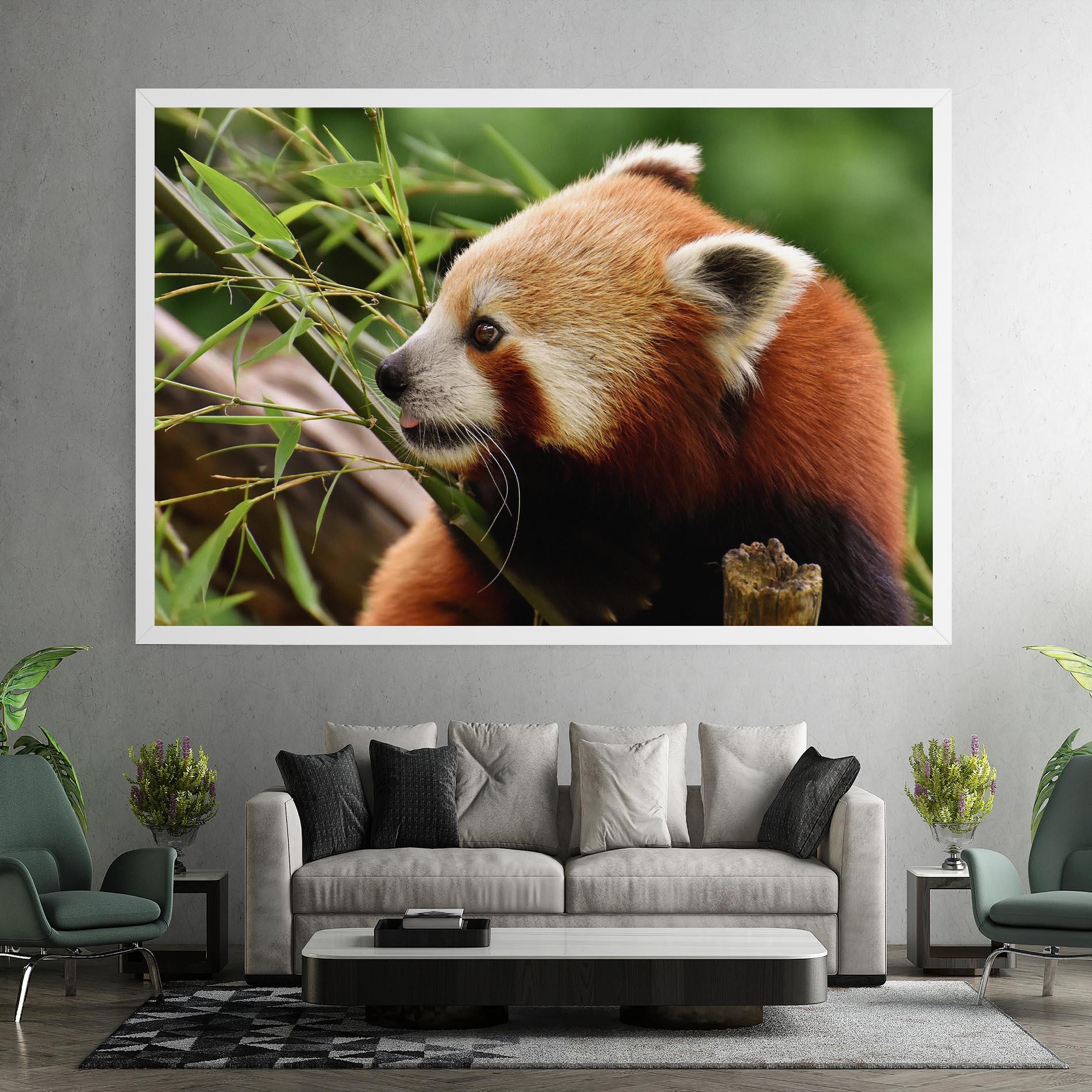 Tablou Canvas Cute Red Panda mockup 7