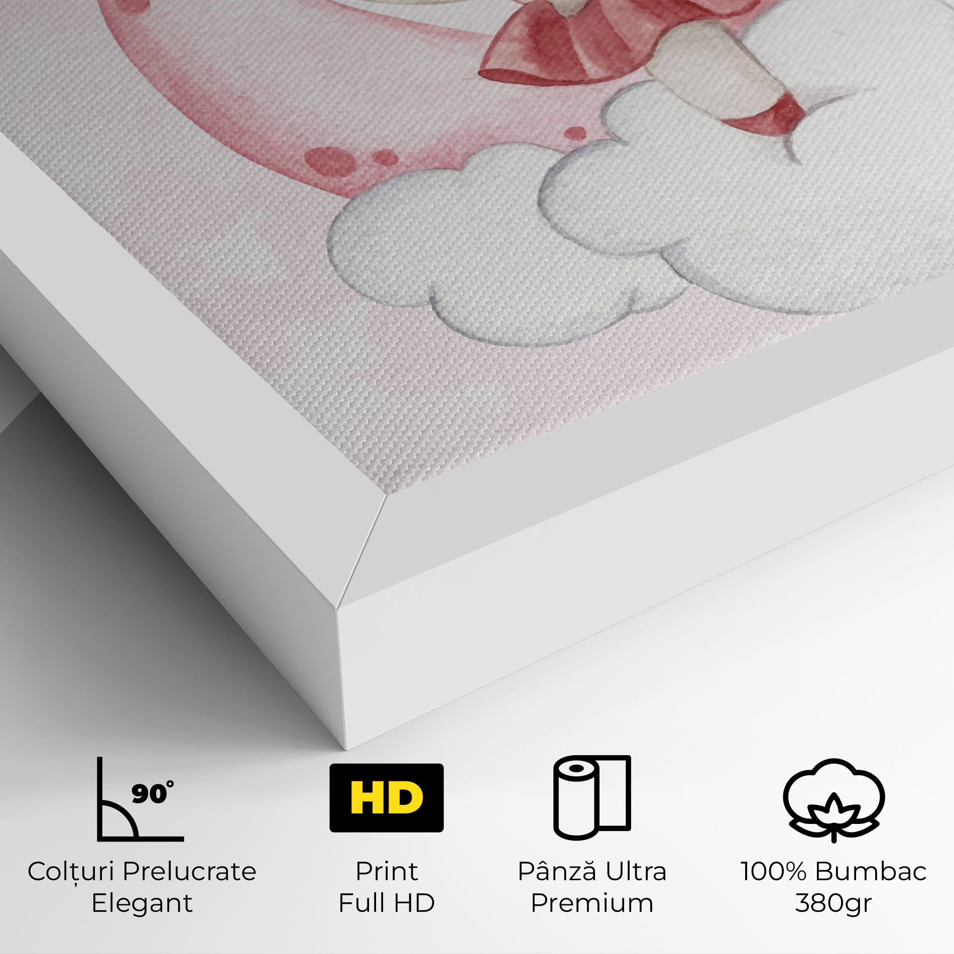 Ballerina Rabbit mockup 4