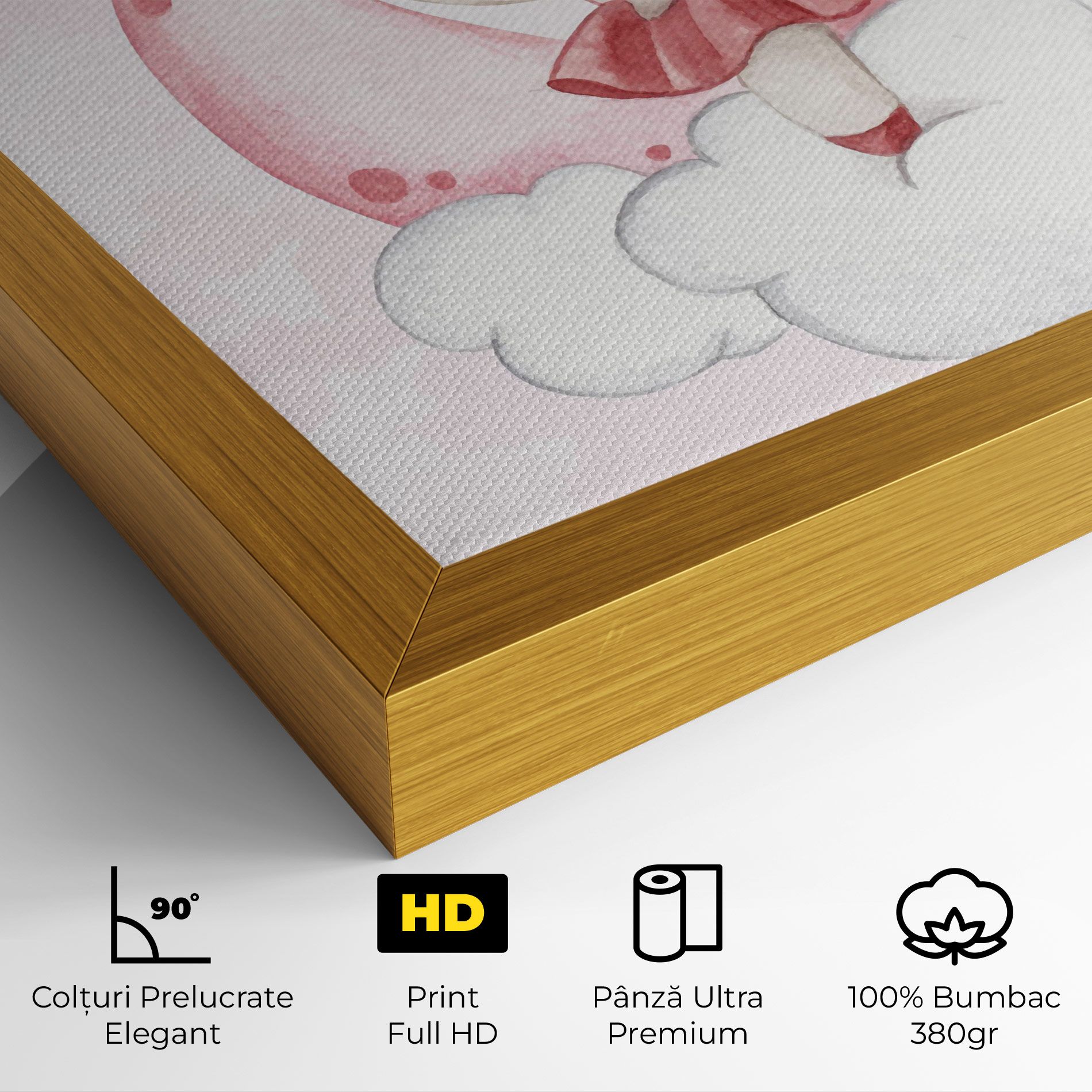 Ballerina Rabbit mockup 4