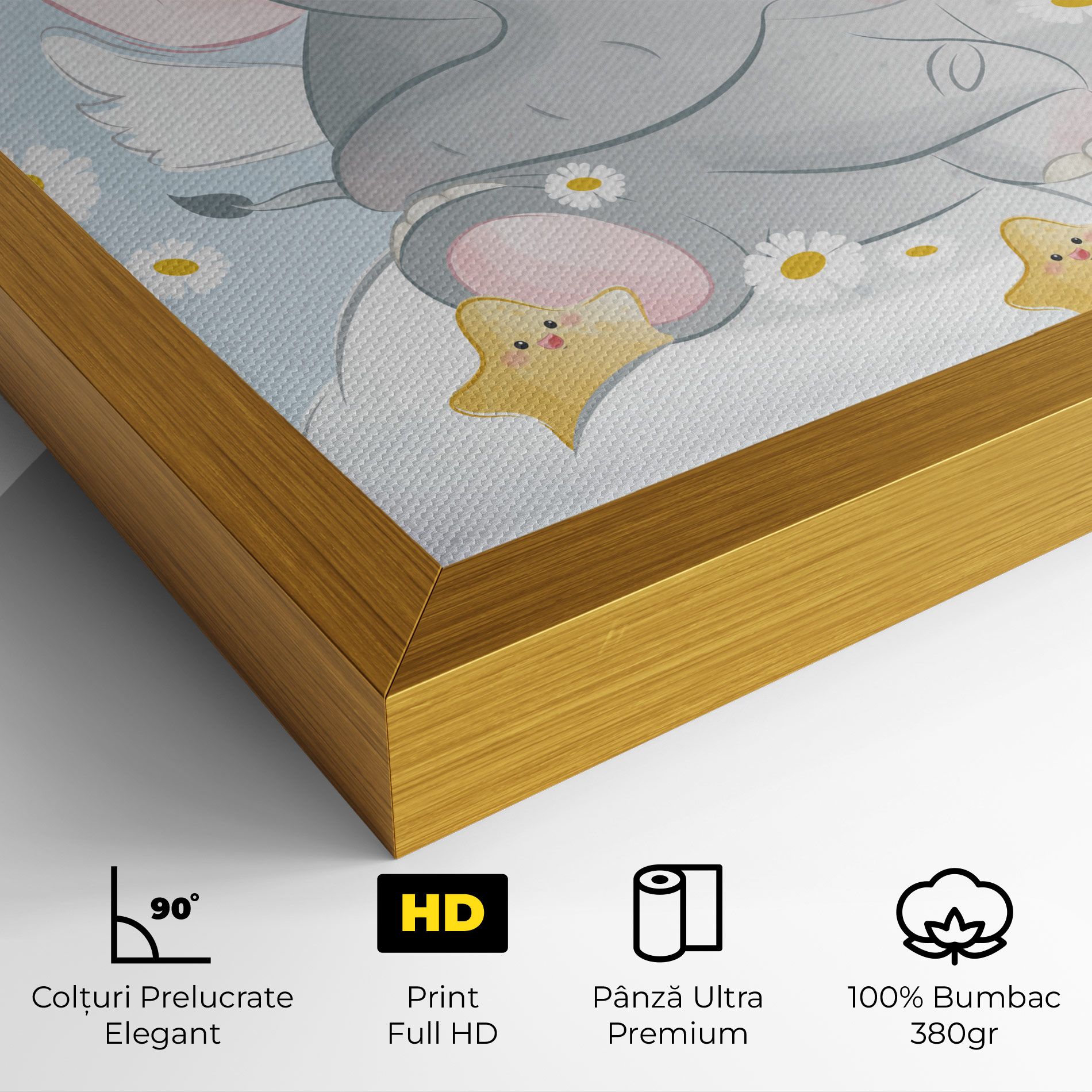 Elephant Stars mockup 4