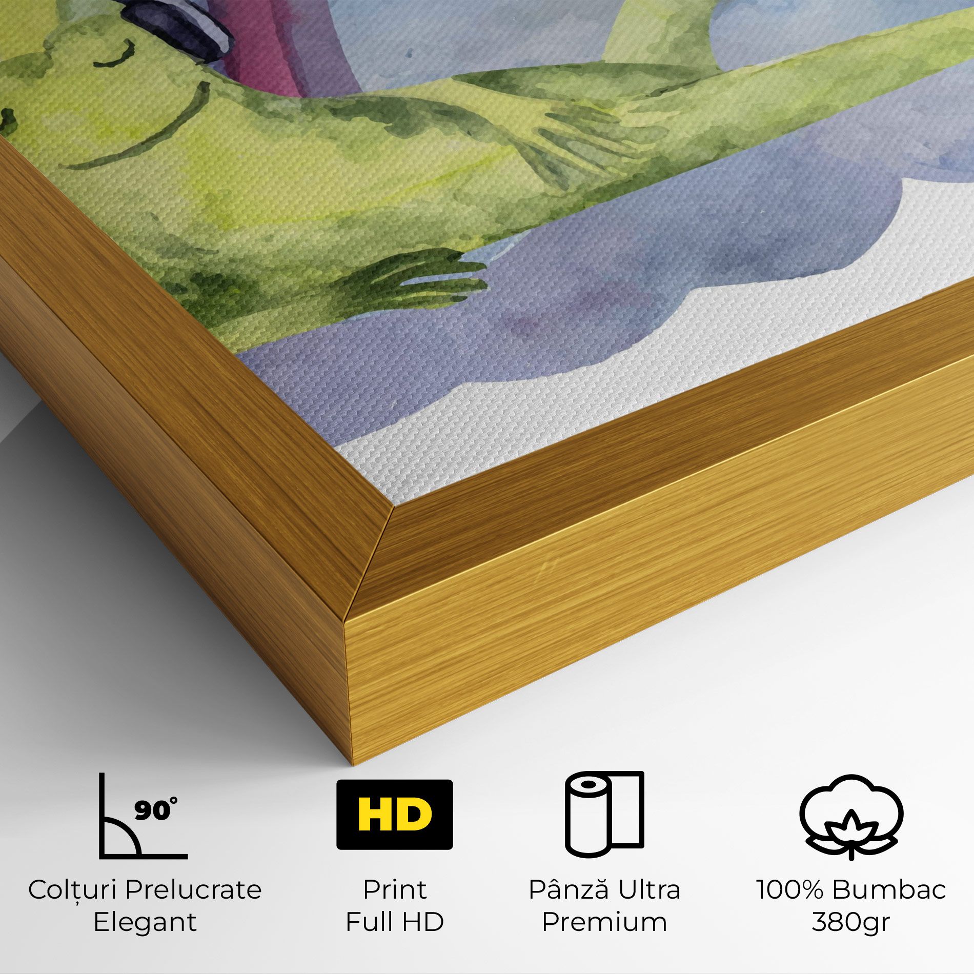 Rainbow Frog mockup 4