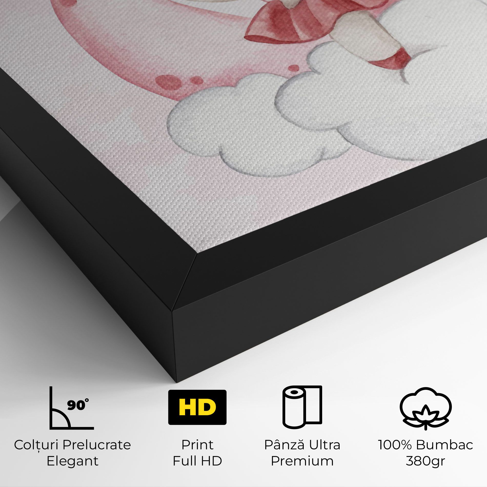 Ballerina Rabbit mockup 4