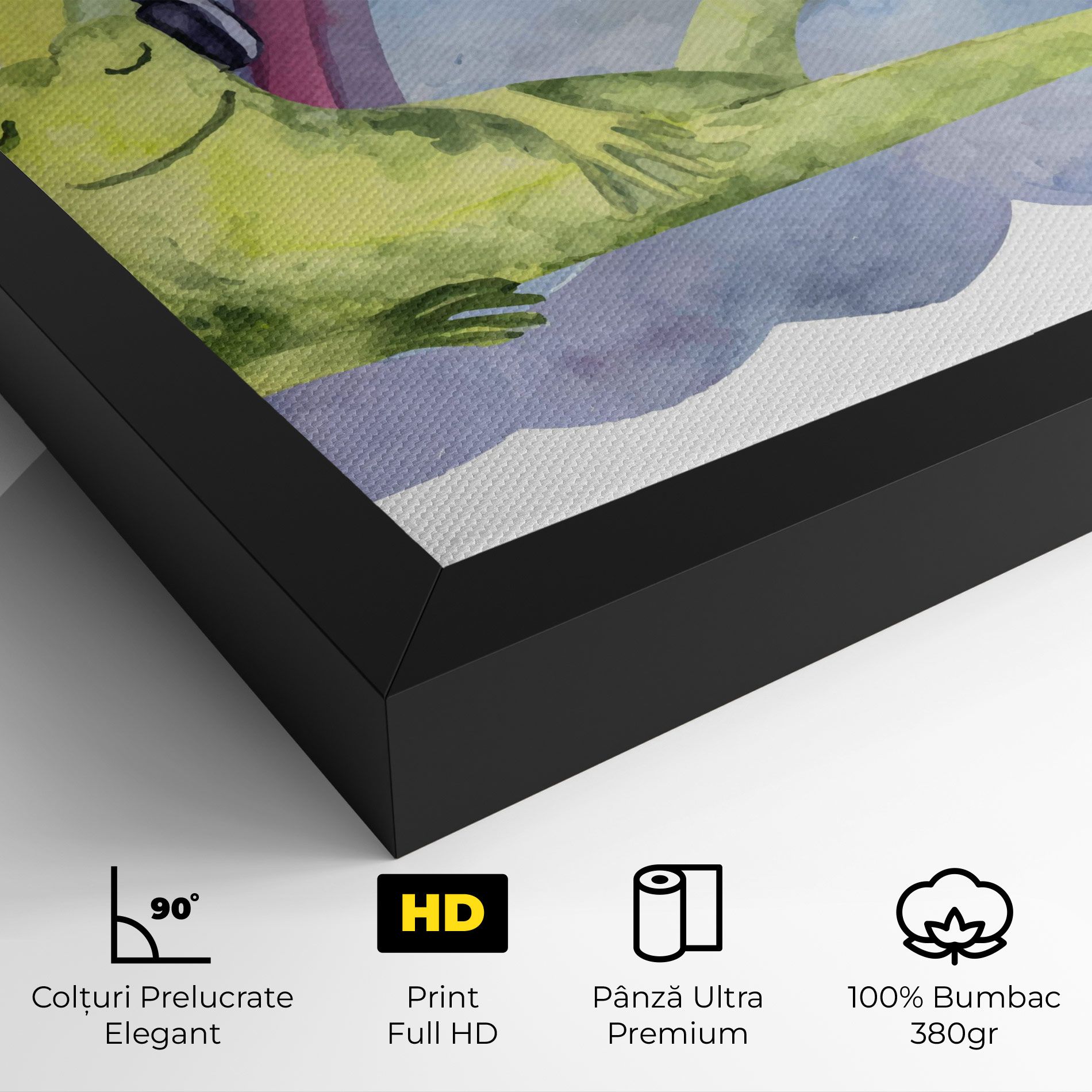 Rainbow Frog mockup 4