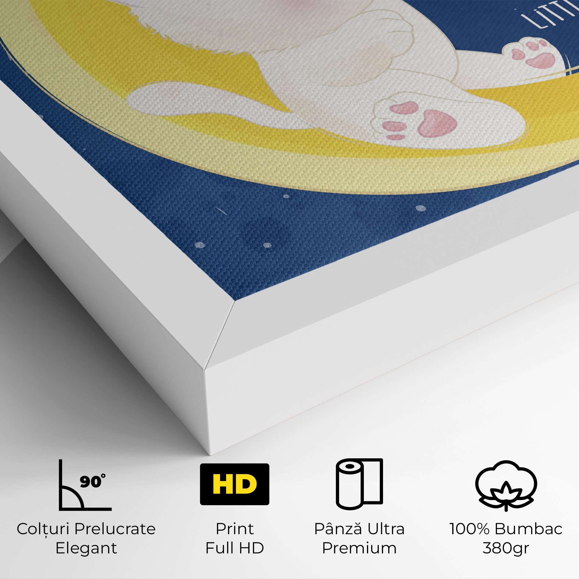 Cat Moon Star mockup 4
