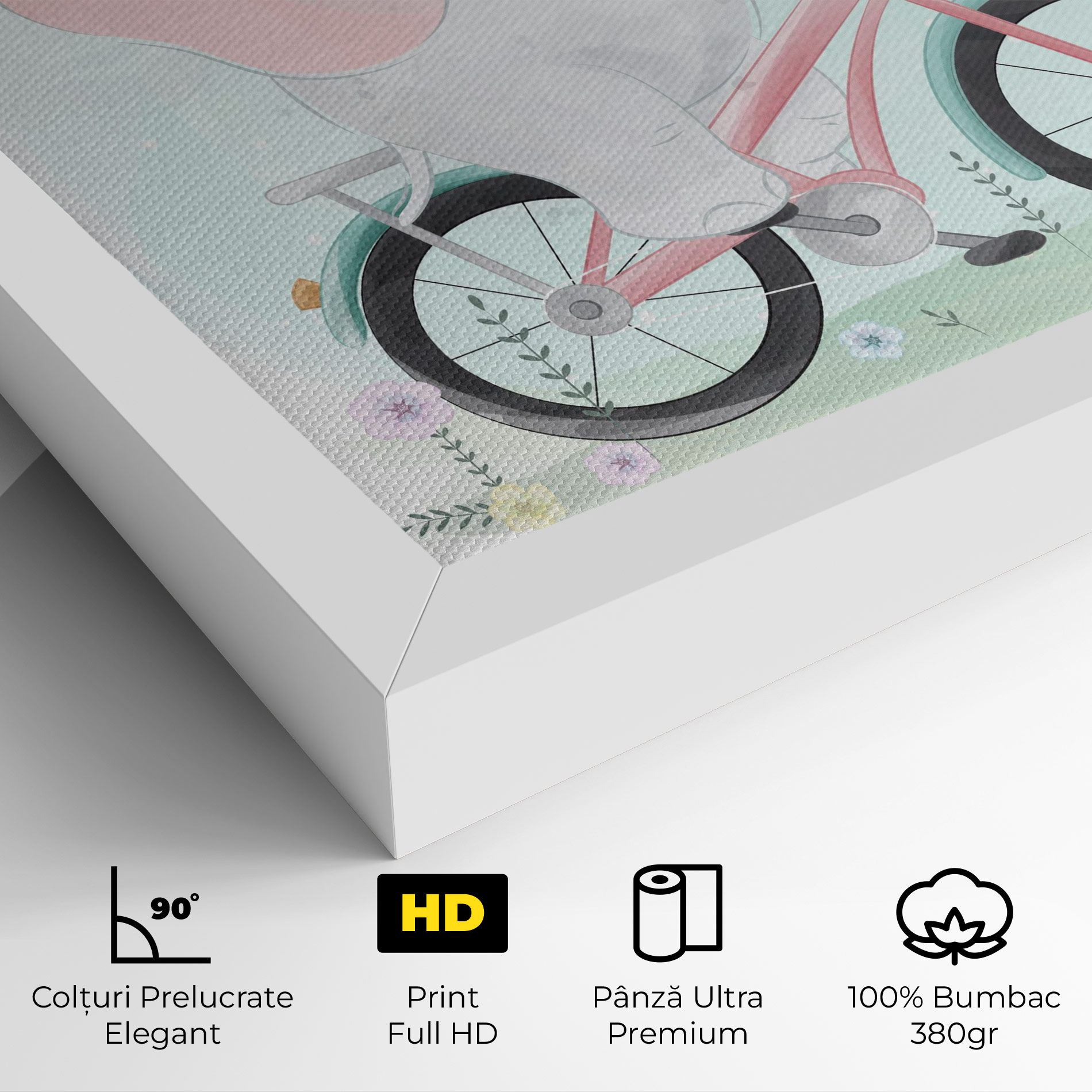 Elephant Bike mockup 4