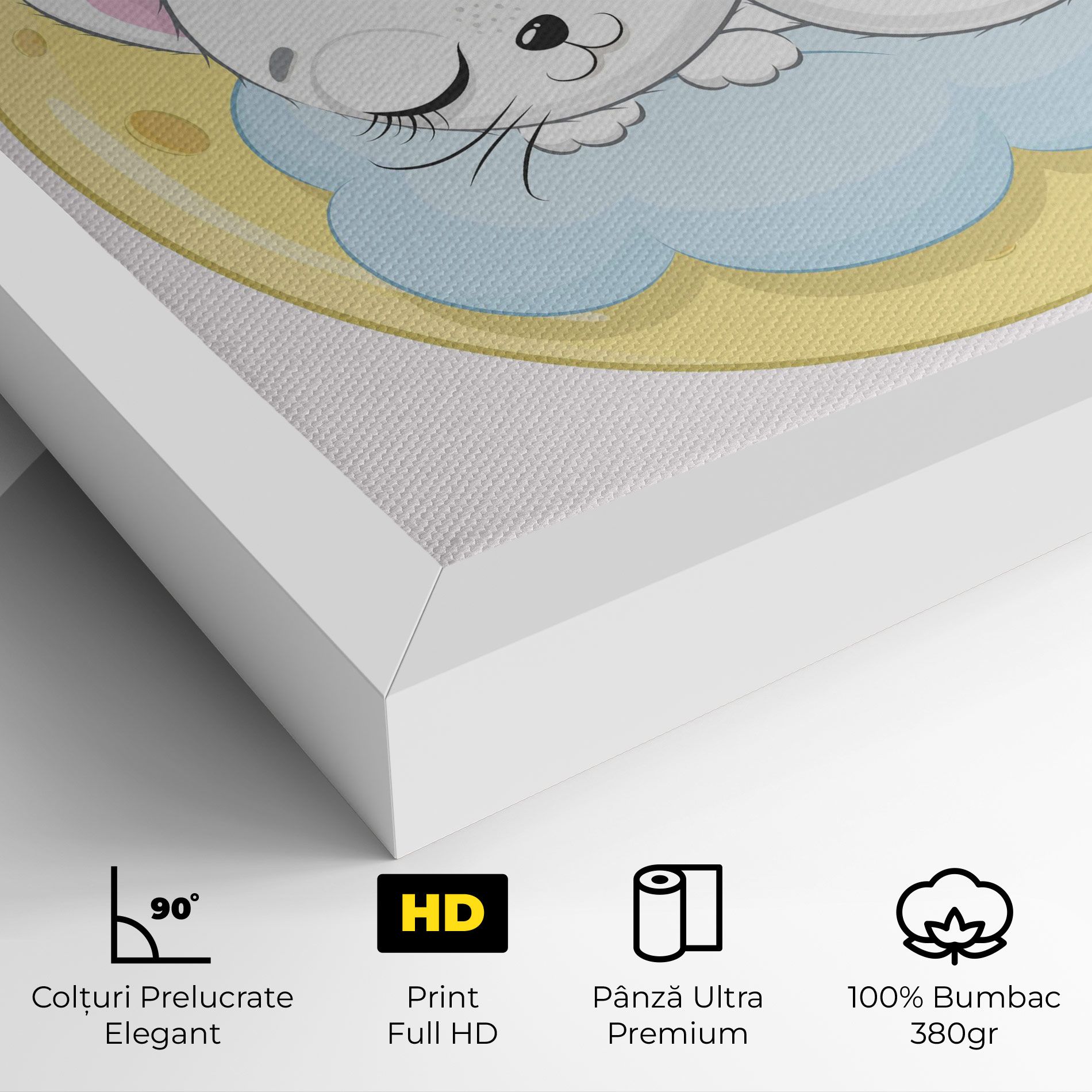 Moon Cat Sleeping mockup 4