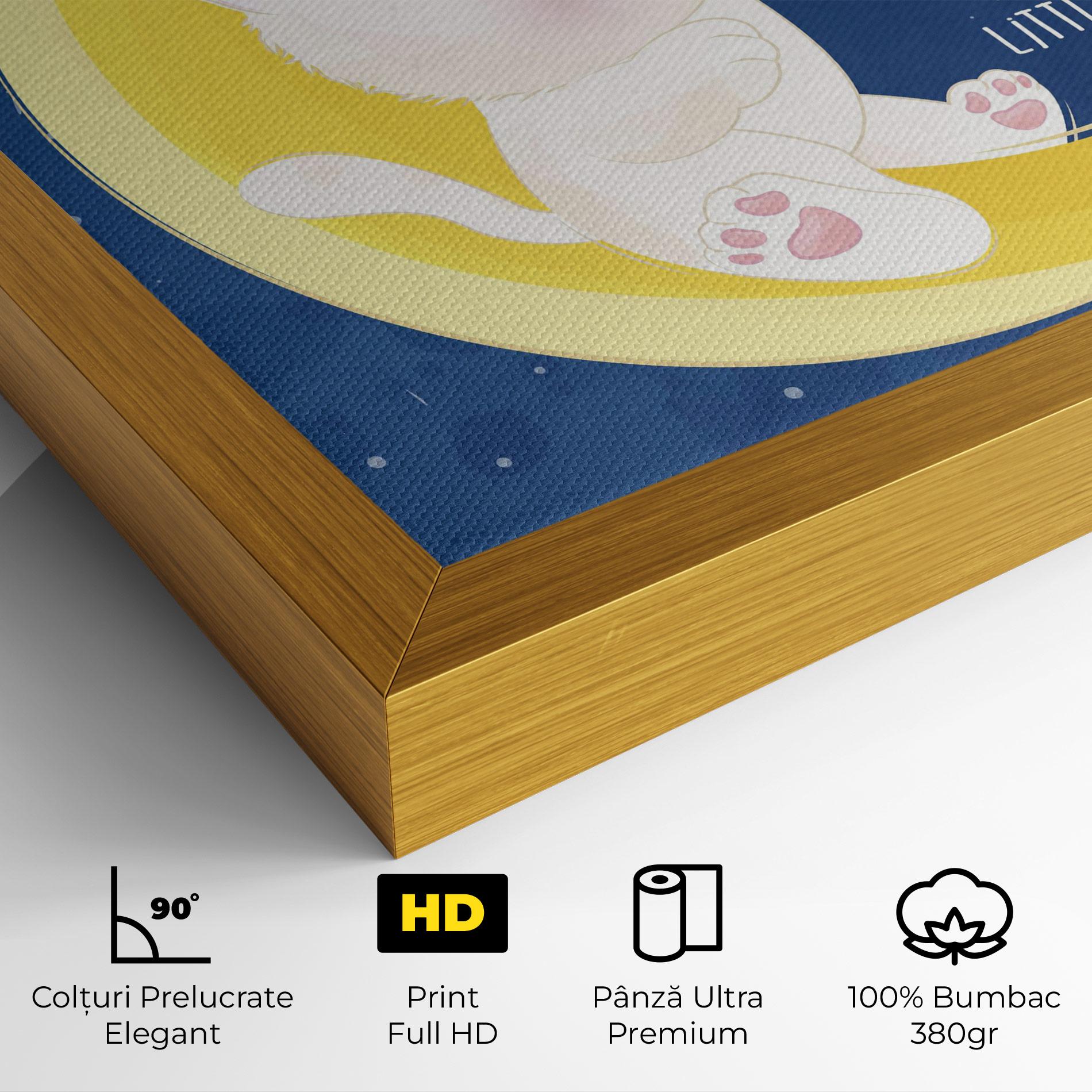 Tablou Canvas Cat Moon Star mockup 4