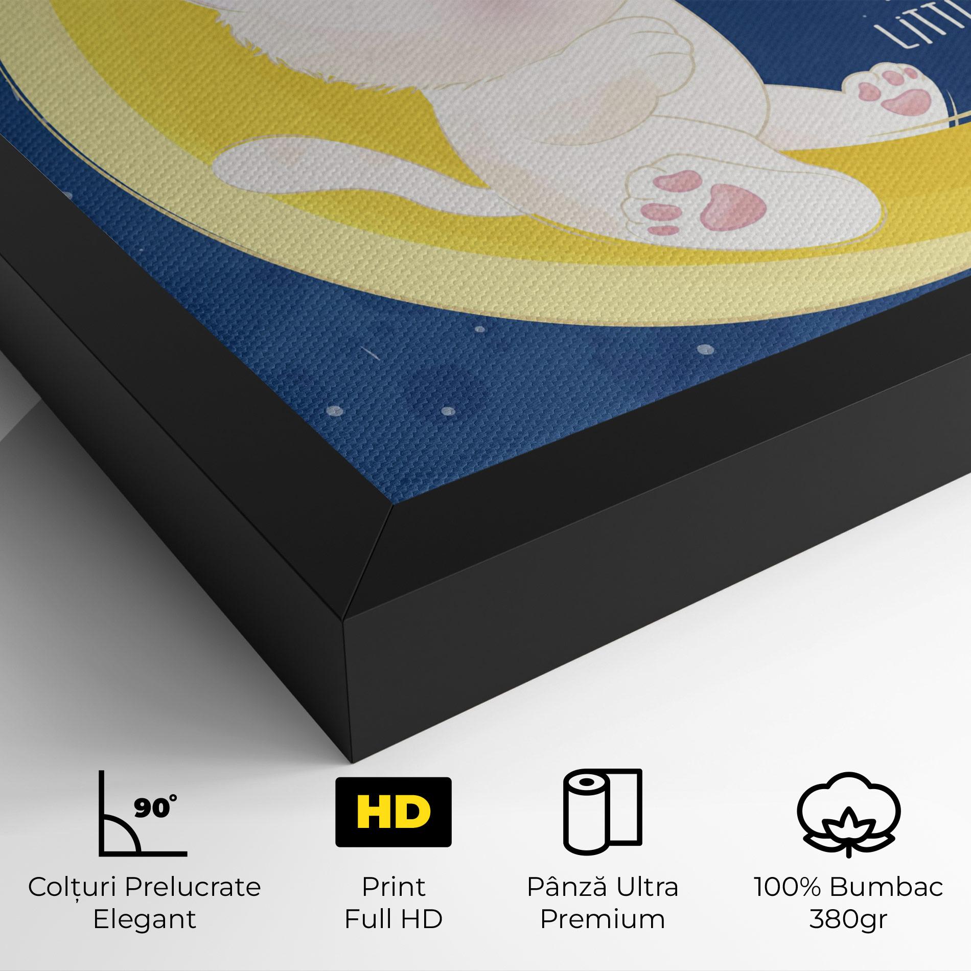 Tablou Canvas Cat Moon Star mockup 4