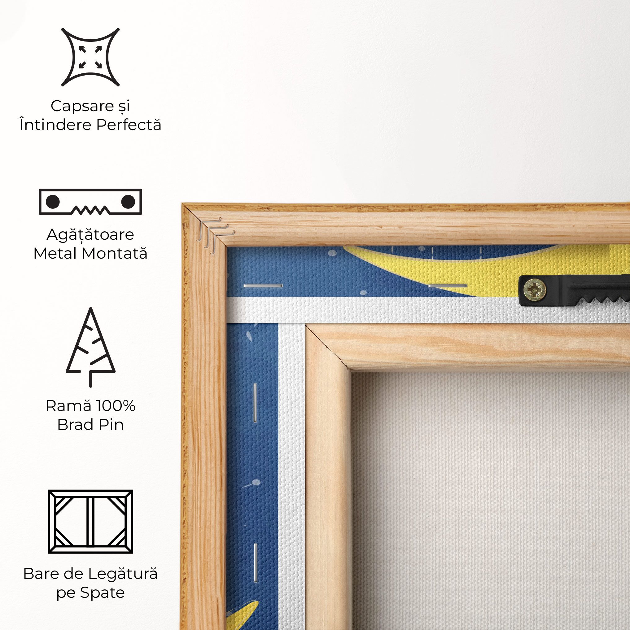 Cat Moon Star mockup 5