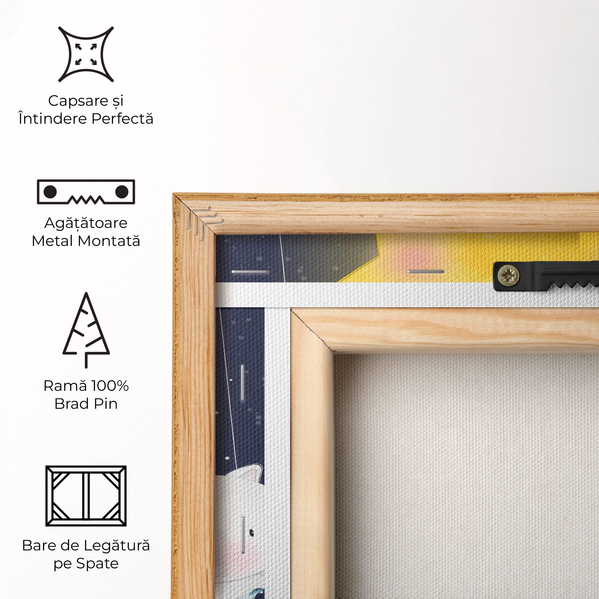 Elephant Cat mockup 5