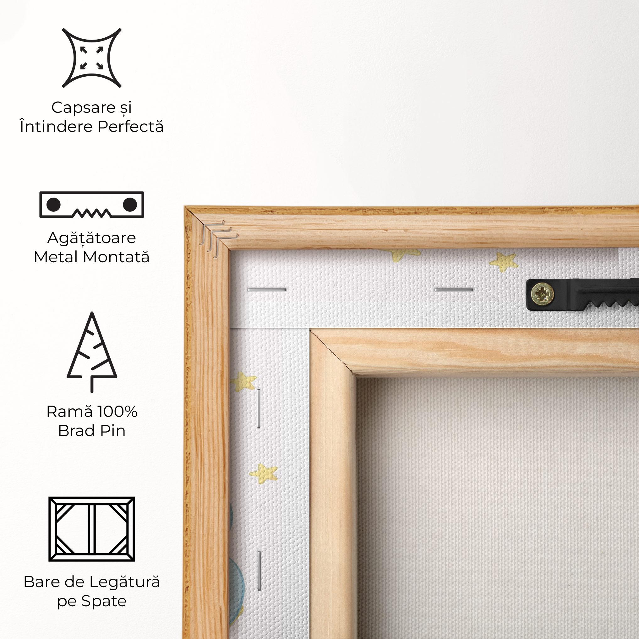 Tablou Canvas Moon Cat Sleeping mockup 5