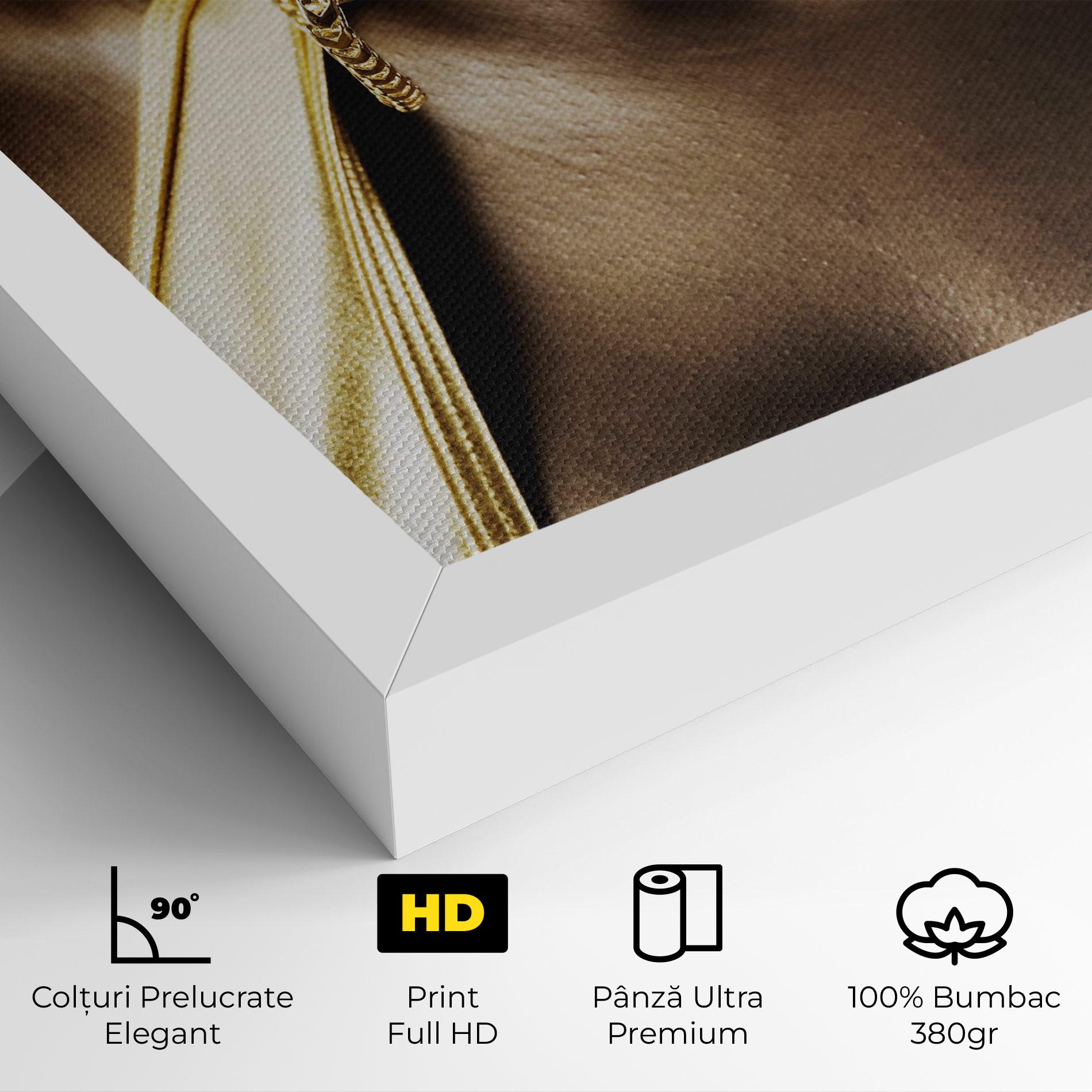 Tablou Canvas Golden Whistle mockup 4