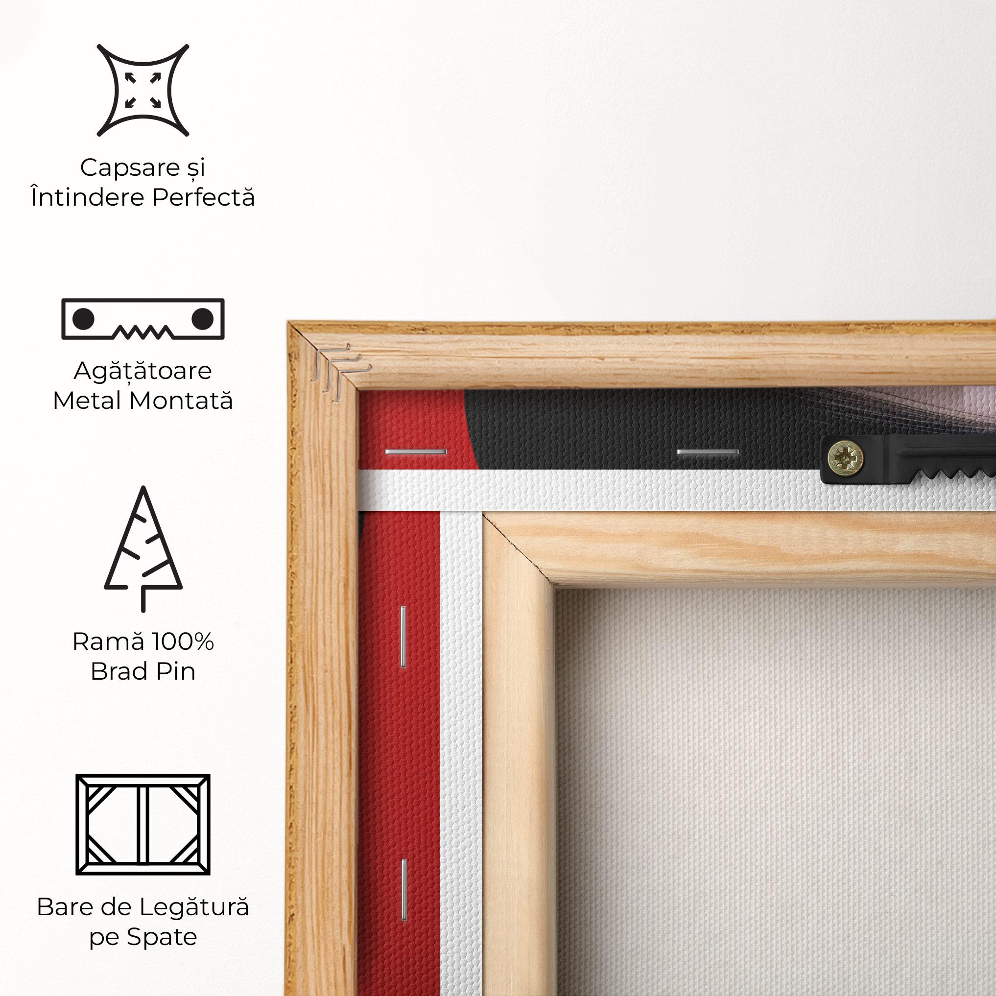 Tablou Canvas Asiatic Red Makeup mockup 5