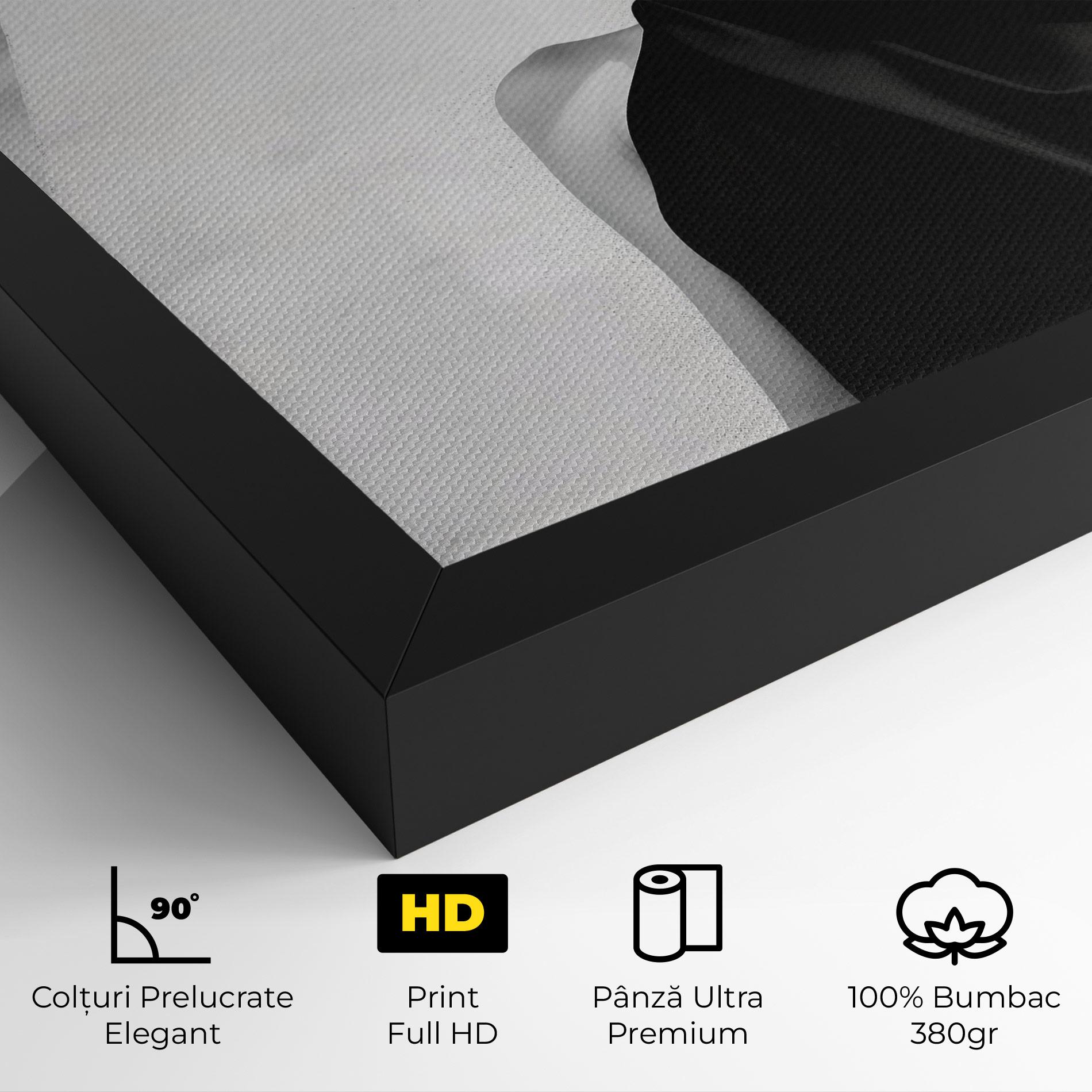 Tablou Canvas Modern Fashion Portrait mockup 4