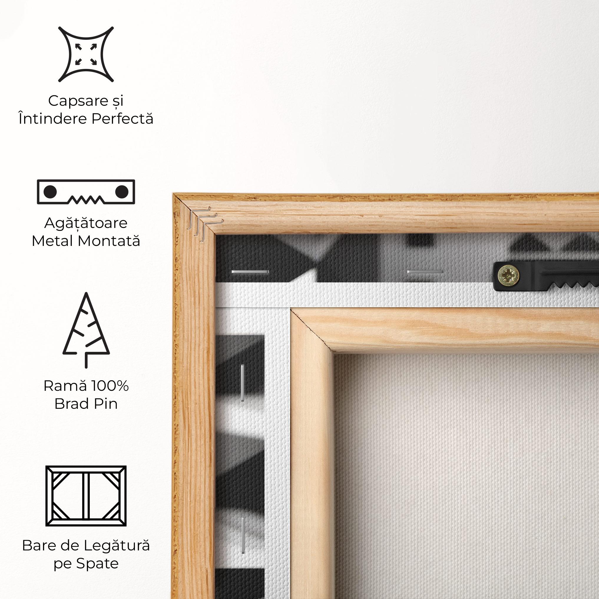 Tablou Canvas Big Black Hat mockup 5