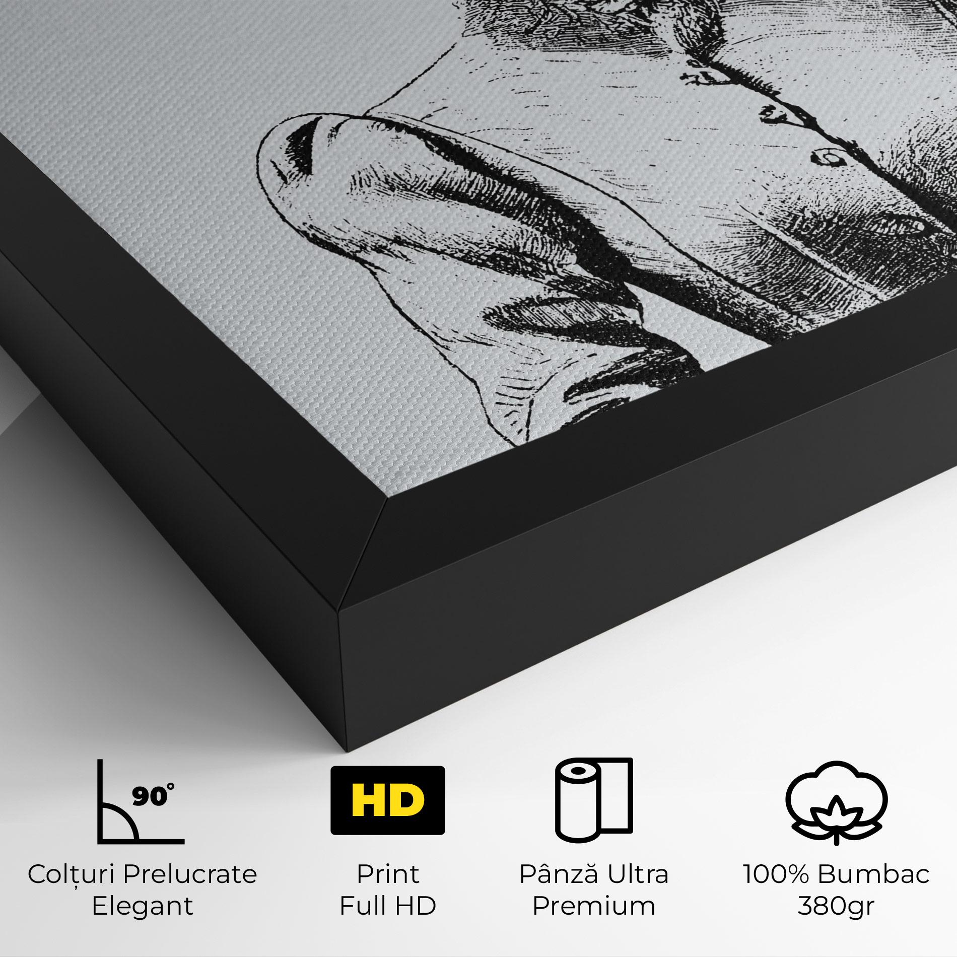 Tablou Canvas Noble Lady Hat mockup 4