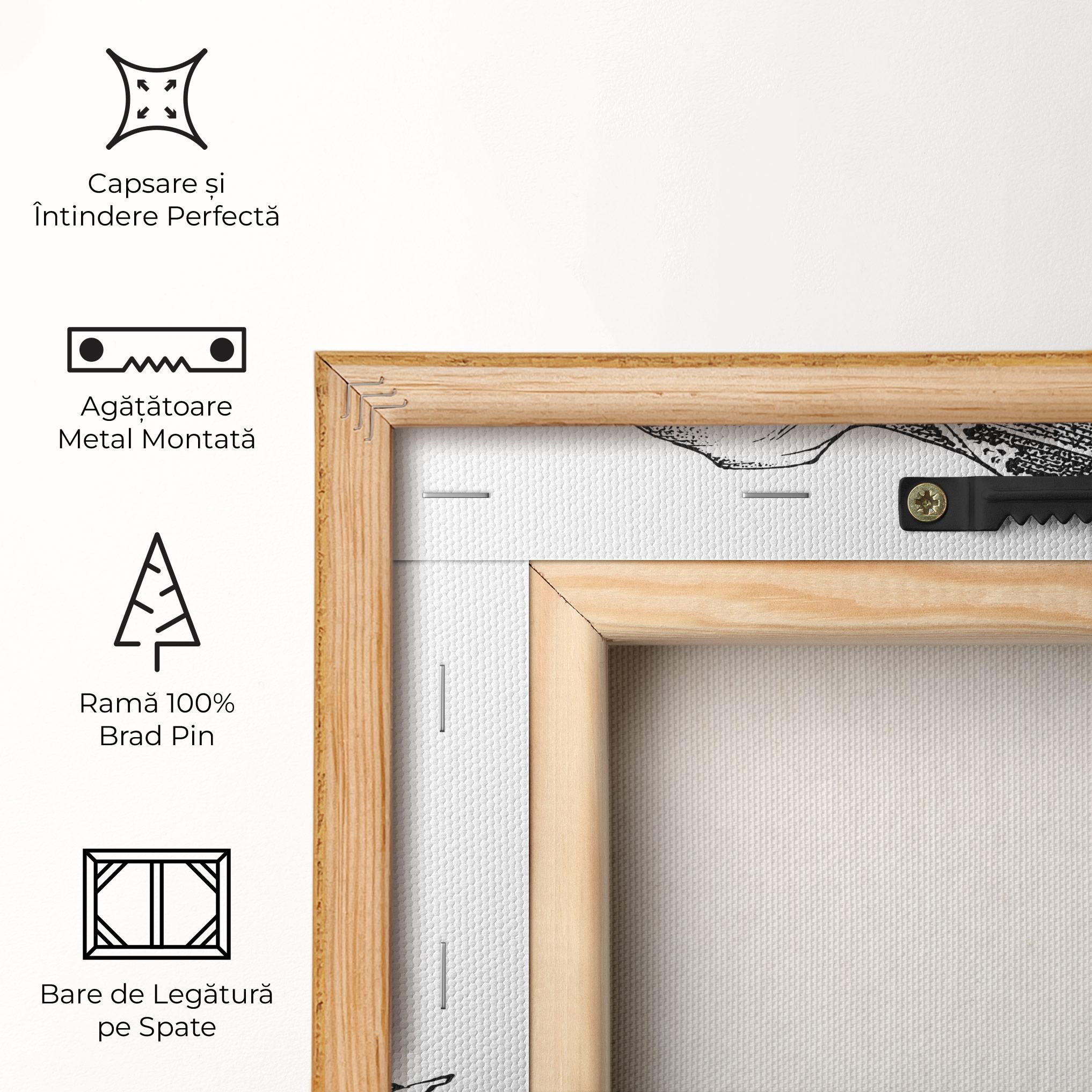 Tablou Canvas Vintage Shark mockup 5