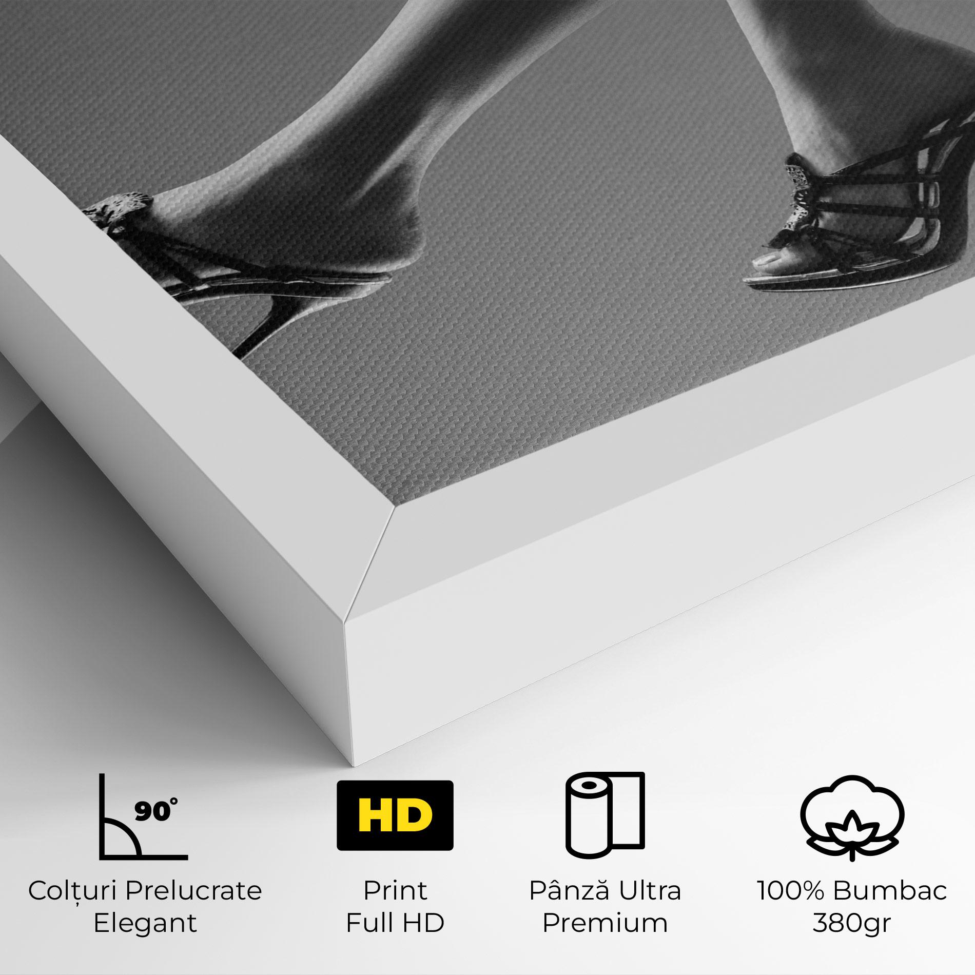 Tablou Canvas Black Shoes On Grey mockup 4