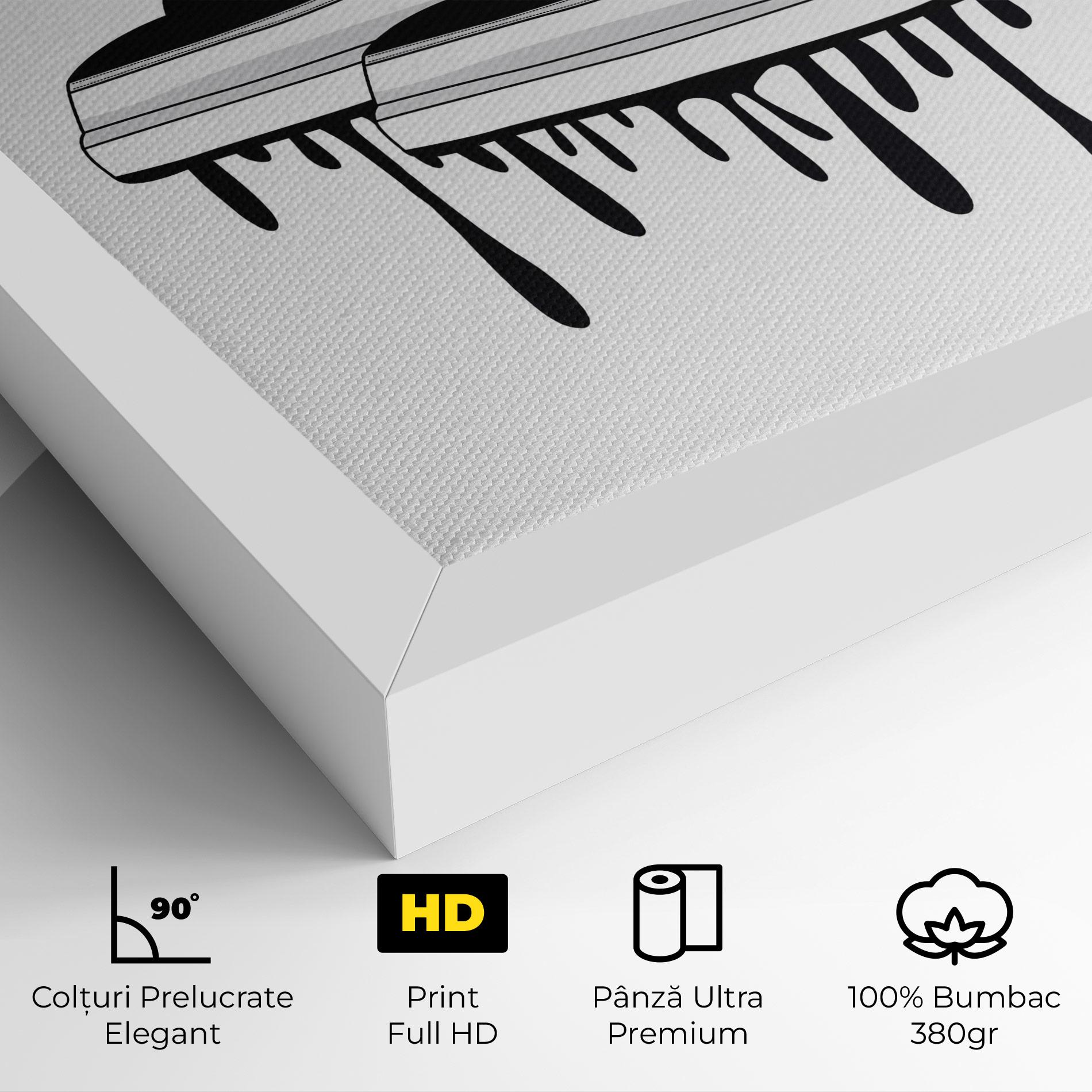 Tablou Canvas Black White Shoes mockup 4