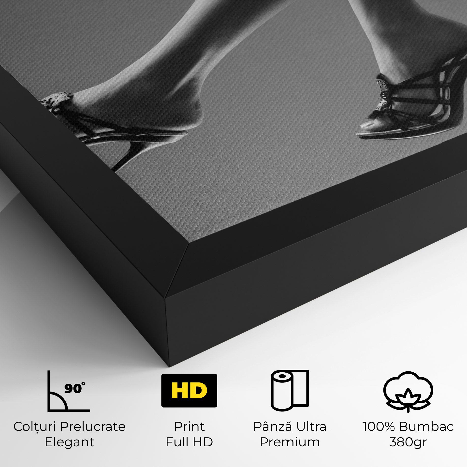 Tablou Canvas Black Shoes On Grey mockup 4