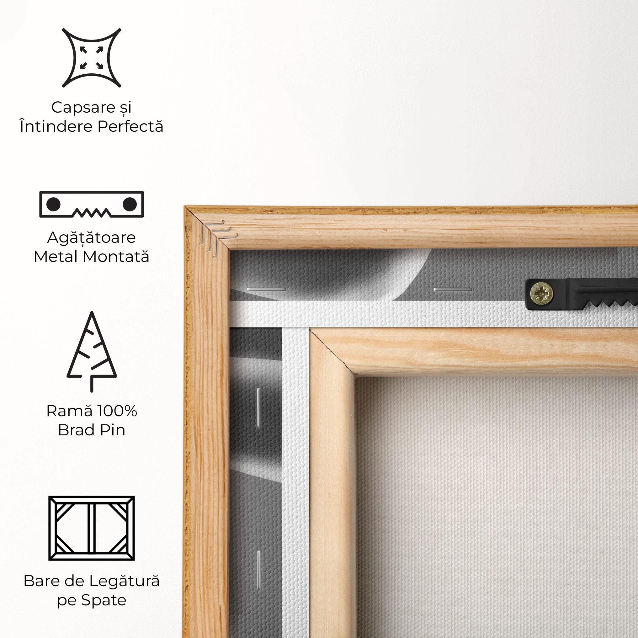 Tablou Canvas Black Shoes On Grey mockup 5