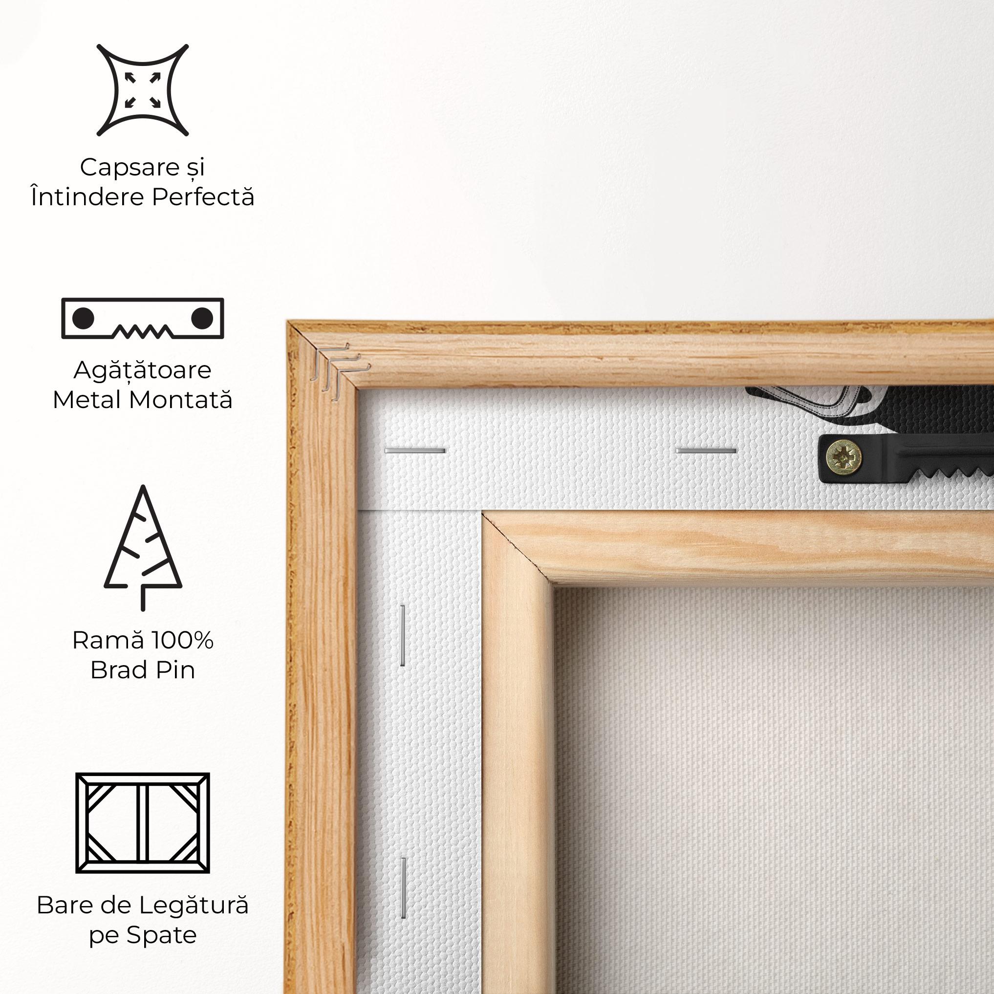 Tablou Canvas Black White Shoes mockup 5