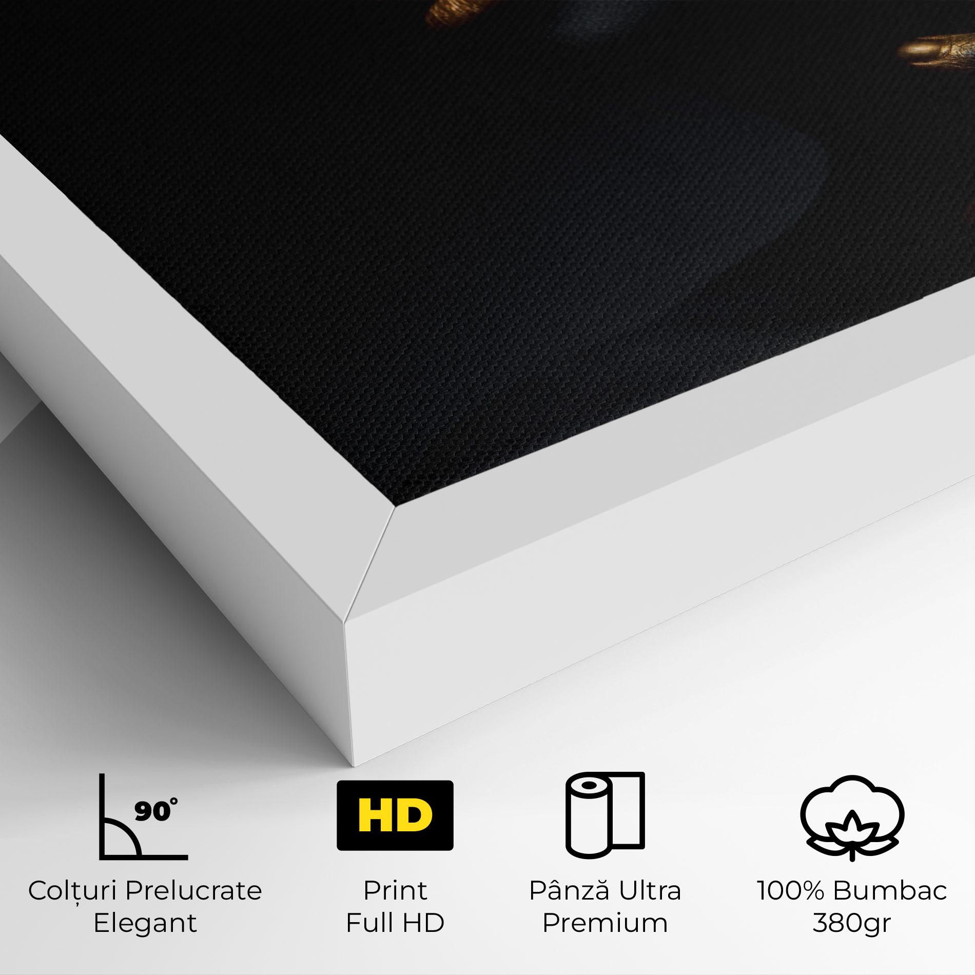 Tablou Canvas Black Gold Skin mockup 4