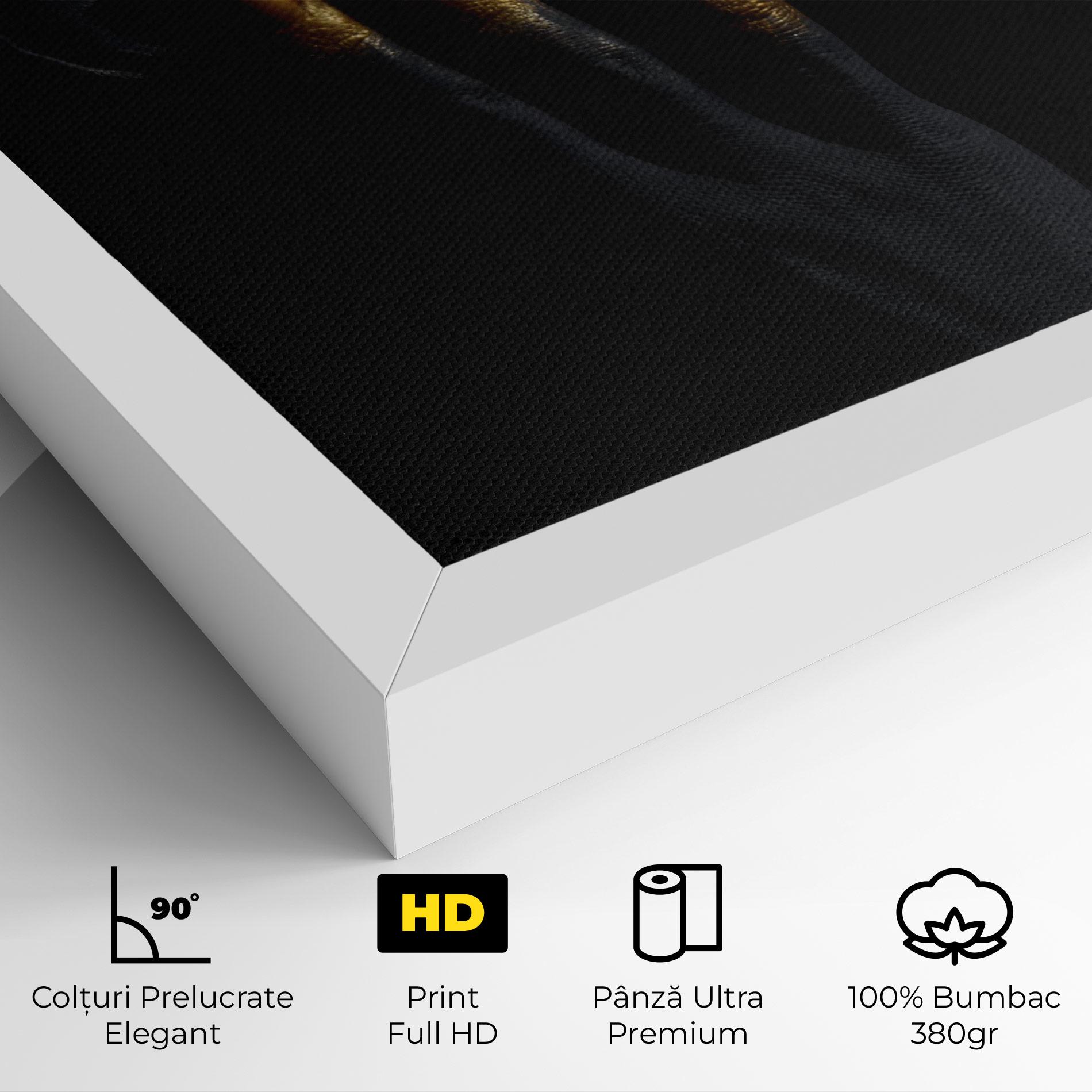 Tablou Canvas Gold Black Paint mockup 4