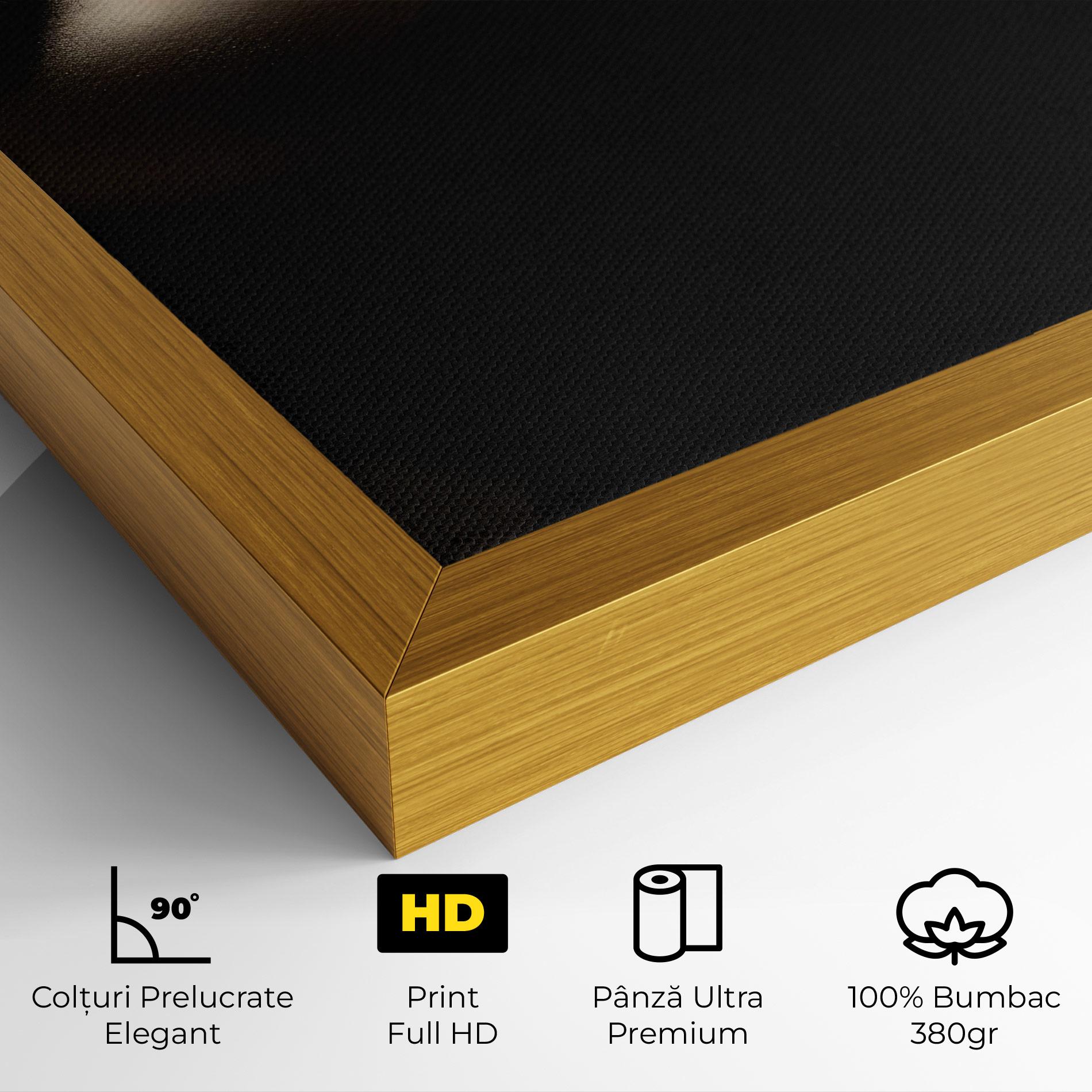 Tablou Canvas Dark Gold Face mockup 4