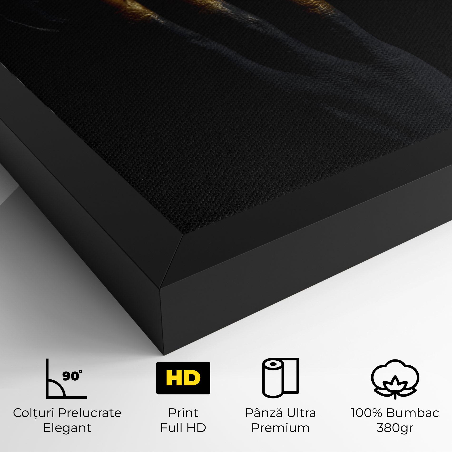 Tablou Canvas Gold Black Paint mockup 4