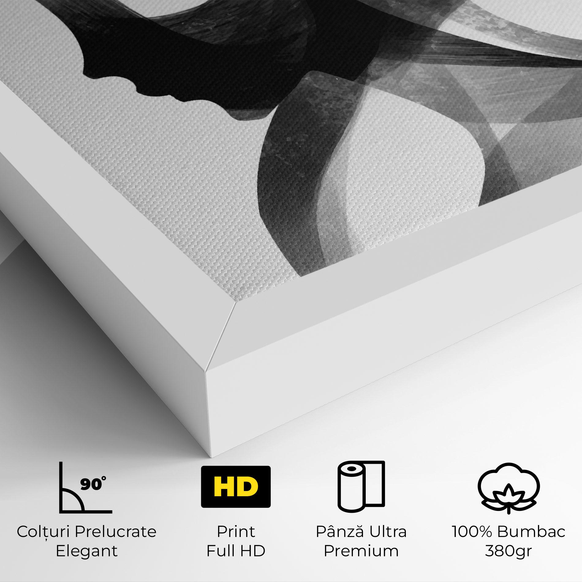 Tablou Canvas Abstract Grey Couple mockup 4