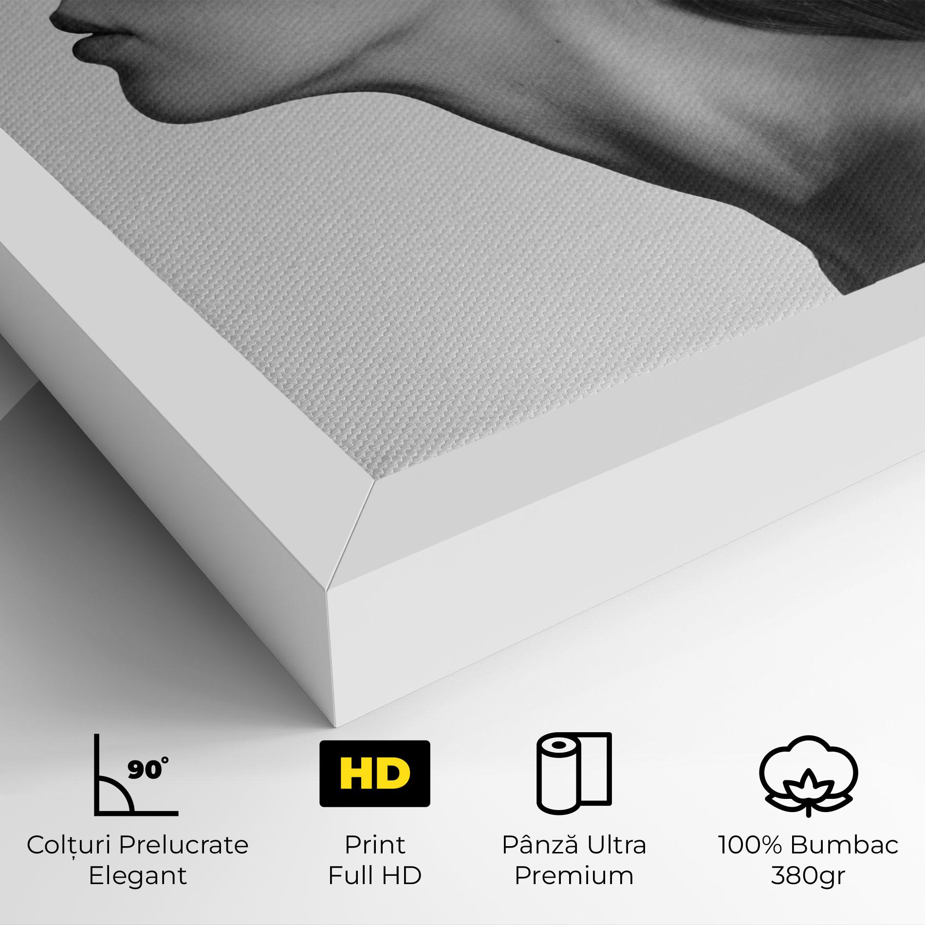 Tablou Canvas Woman Mountains View mockup 4