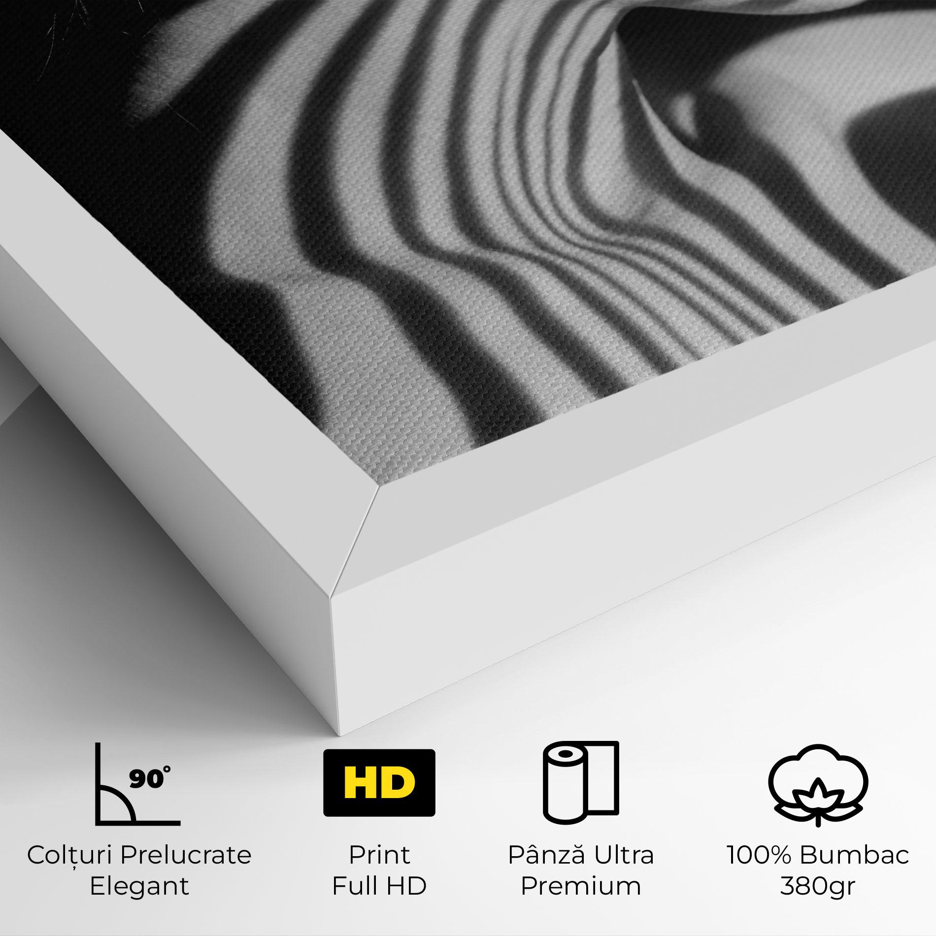 Tablou Canvas Zebra Stripes Woman mockup 4