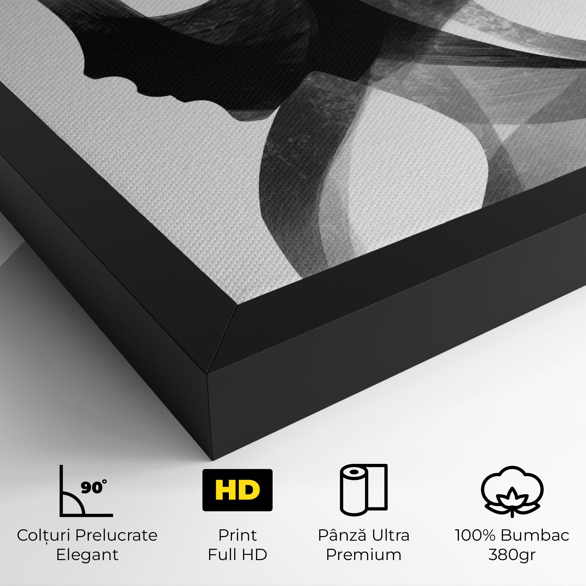 Tablou Canvas Abstract Grey Couple mockup 4
