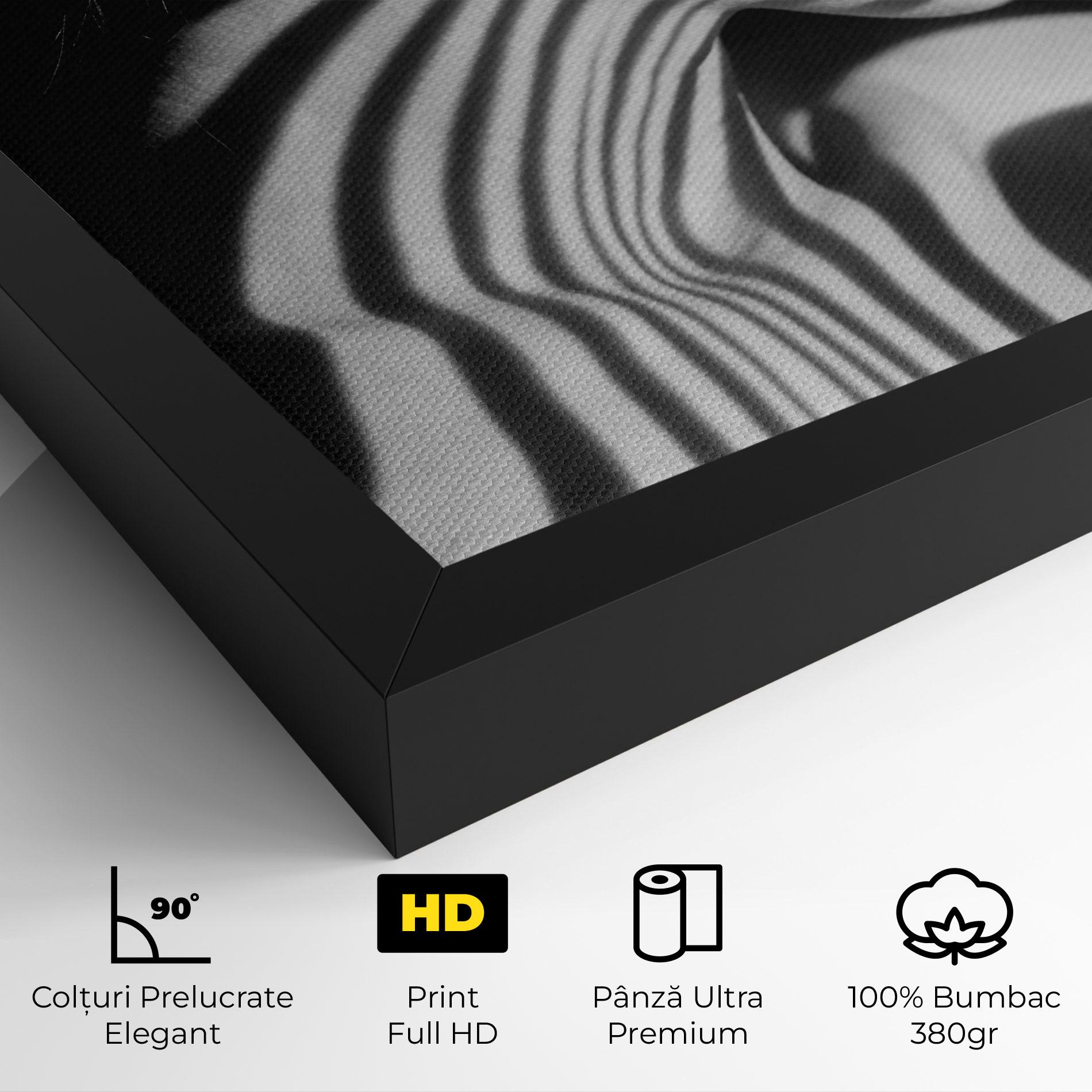 Tablou Canvas Zebra Stripes Woman mockup 4