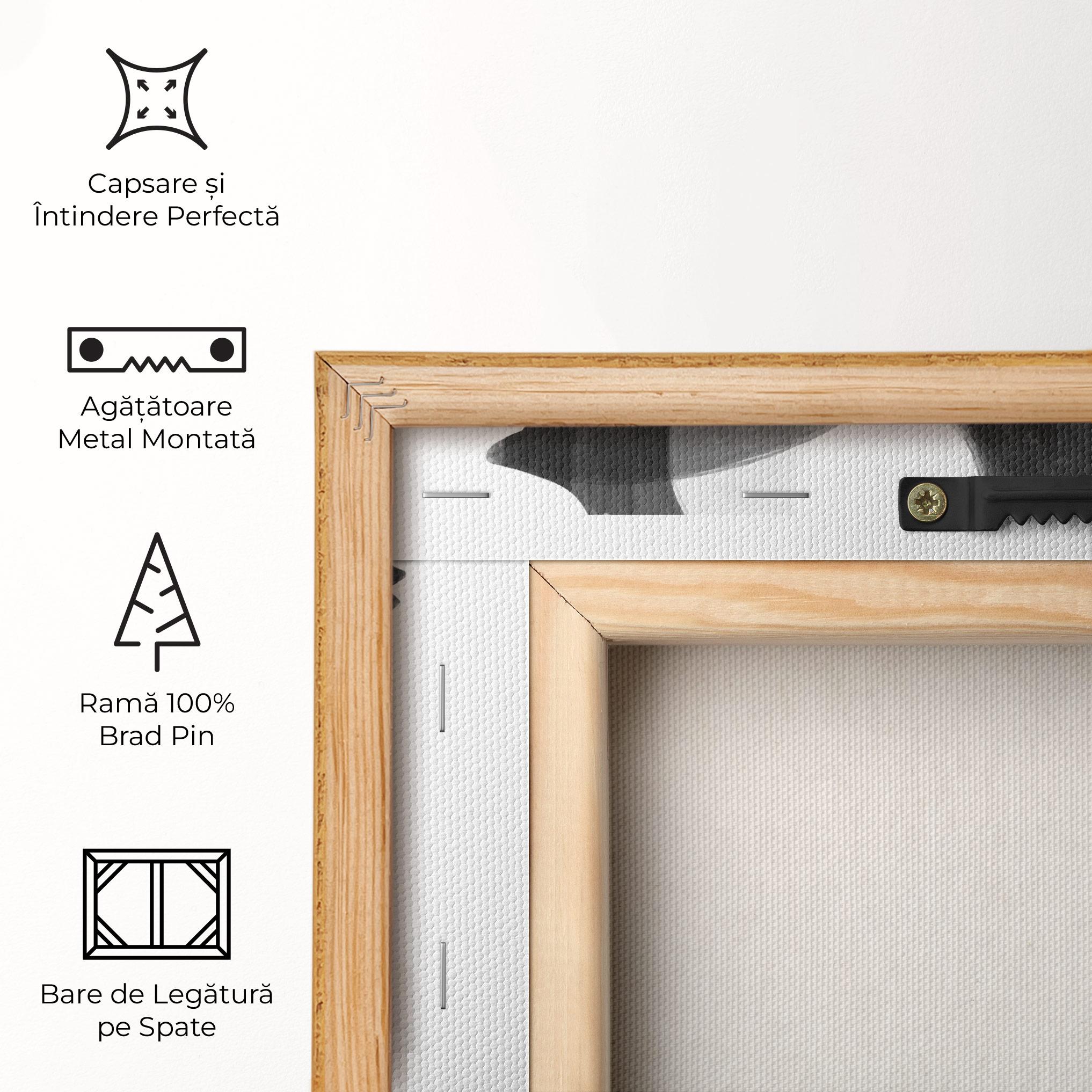 Tablou Canvas Abstract Grey Couple mockup 5