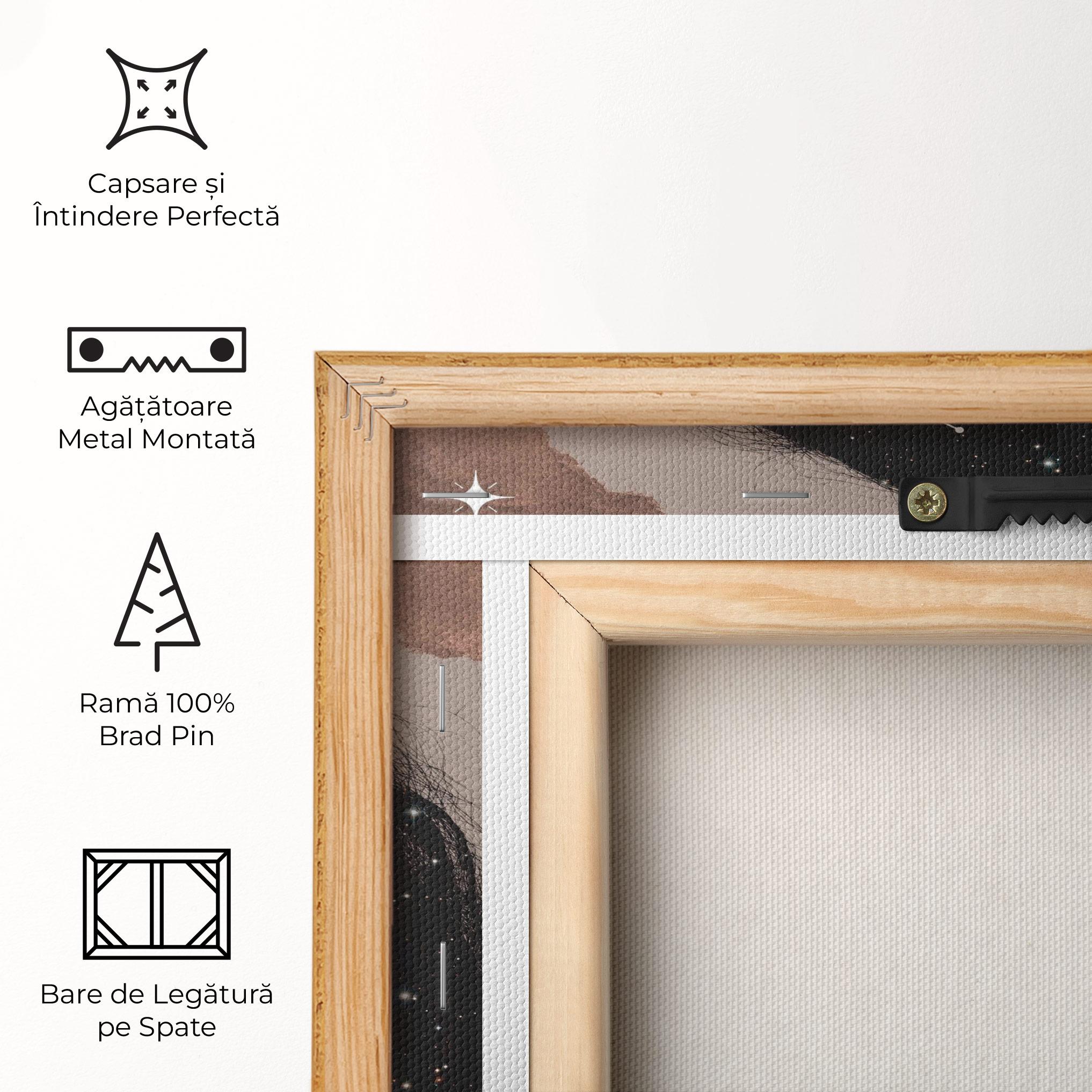 Tablou Canvas Galaxy Hair mockup 5